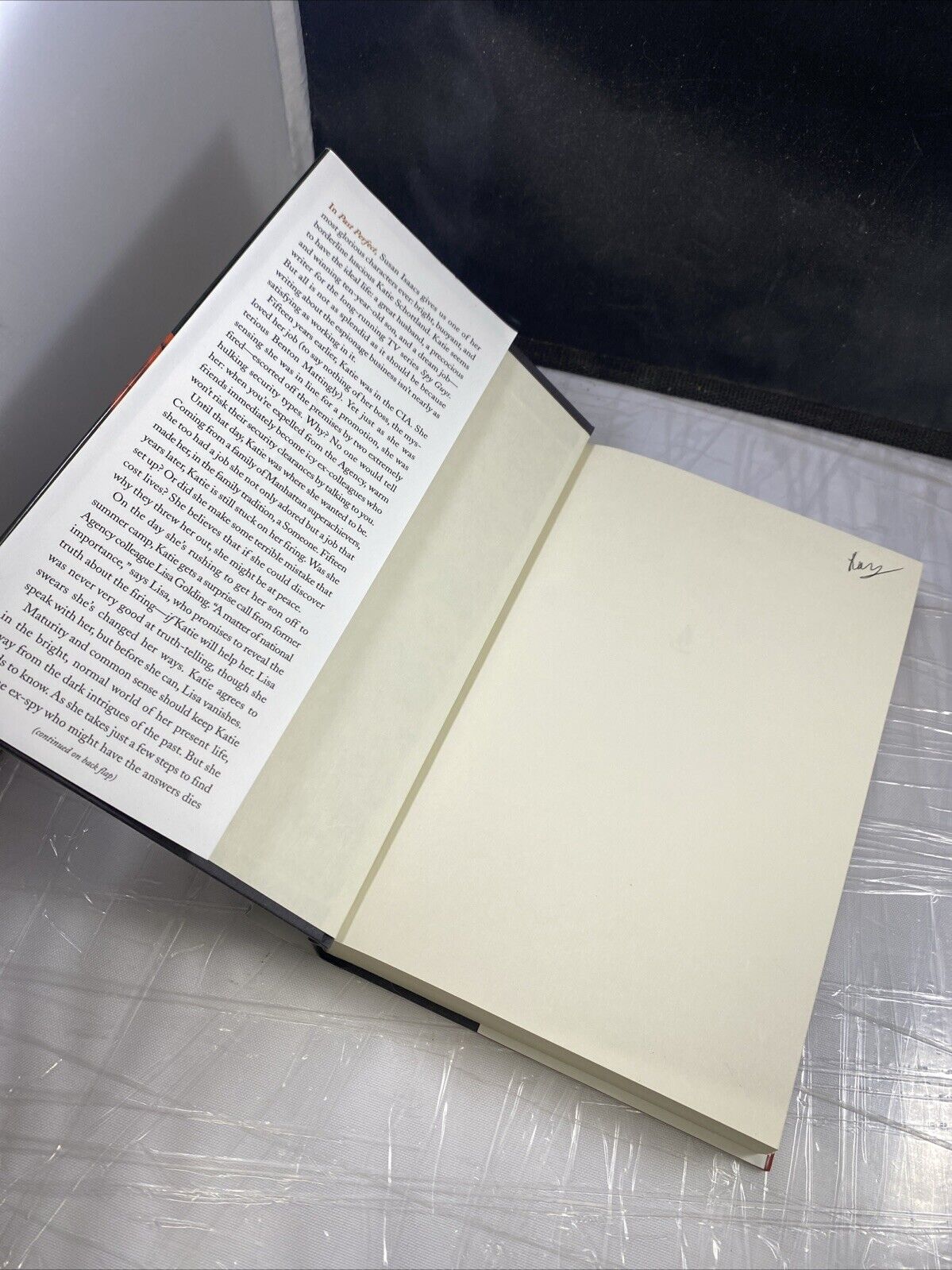 Past Perfect: A Novel - Hardcover By Isaacs, Susan - Very Good BCE