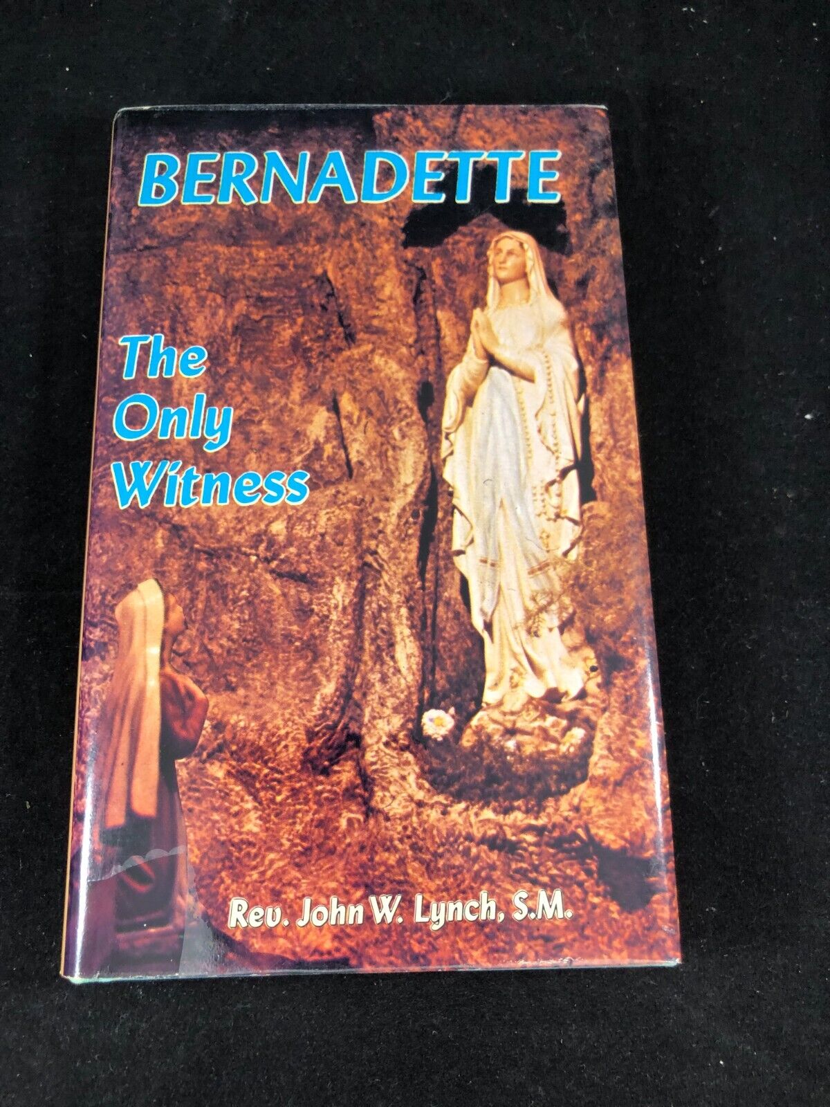Bernadette The Only Witness Rev John Lynch Overcome Suffering on Earth Happiness