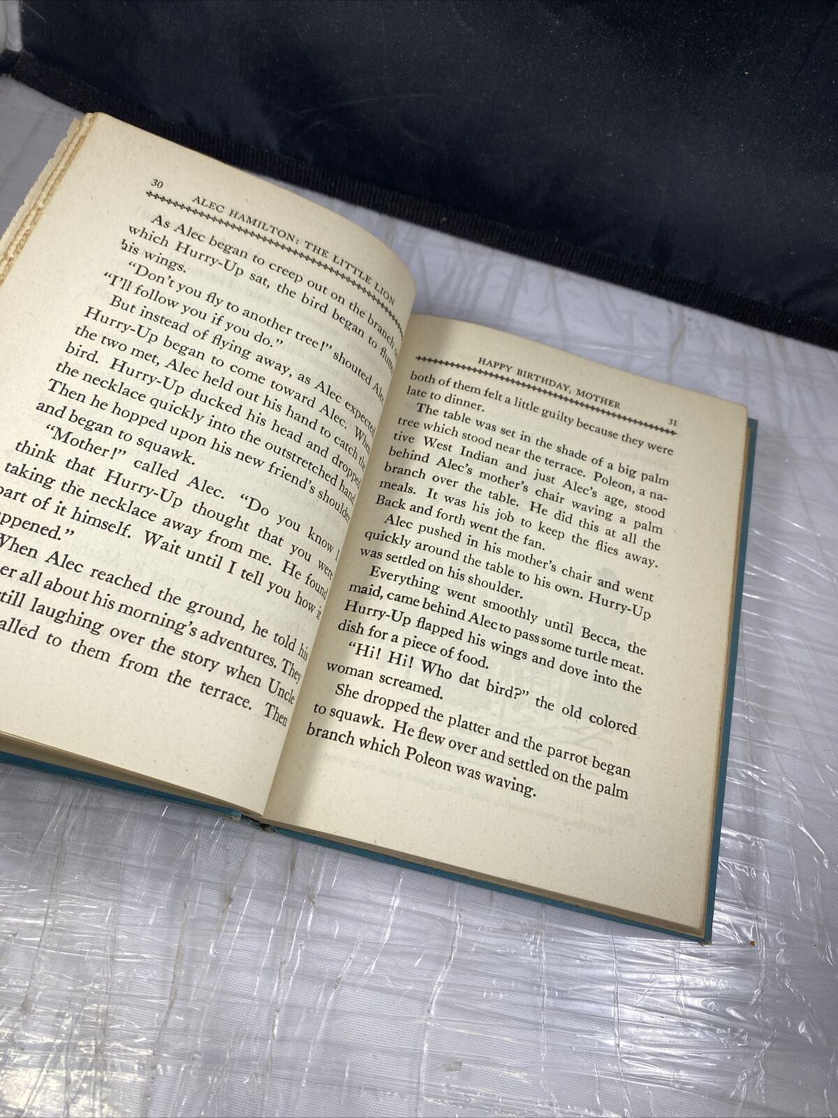 VINTAGE ALEC HAMILTON THE LITTLE LION BY HELEN BOYD HIGGINS COPYRIGHT 1942