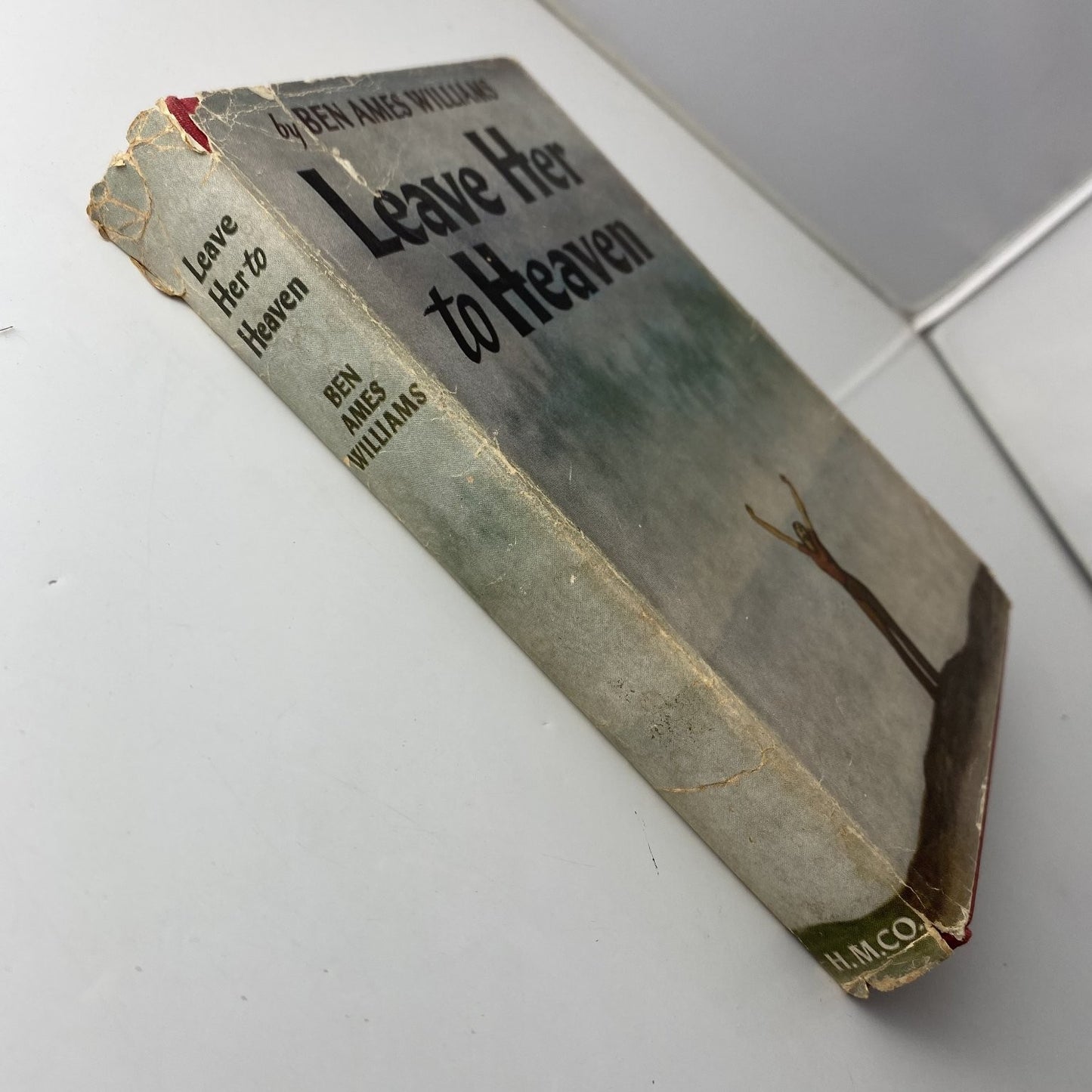 Leave Her to Heaven Ben Ames Williams 1944 1st Edition Fiction Houghton