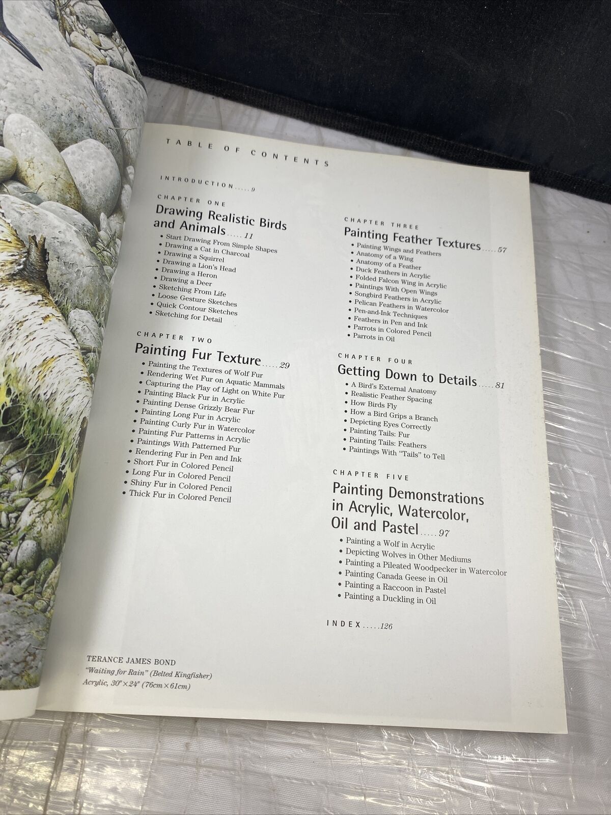 Keys to Painting - Fur & Feathers Vintage Art Book Guide Rachel Rubin Wolf