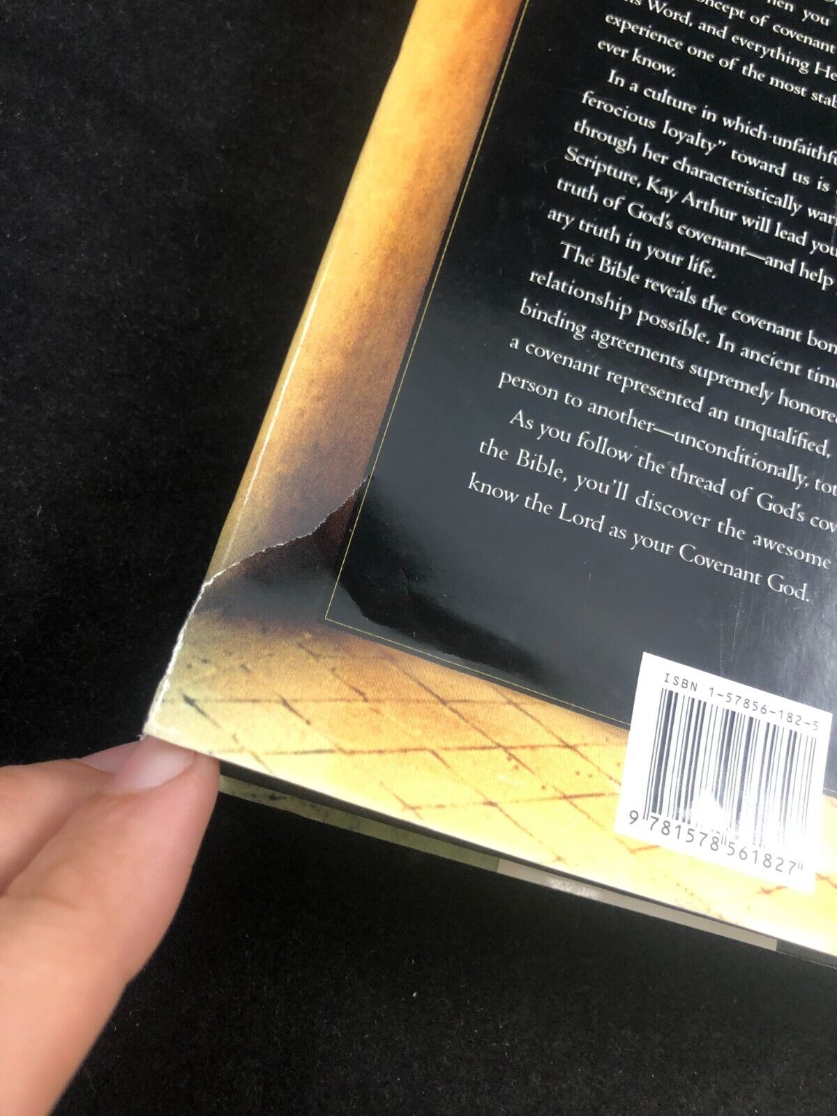 Our Covenant God : Learning to Trust Him by Kay Arthur (1999, Hardcover)