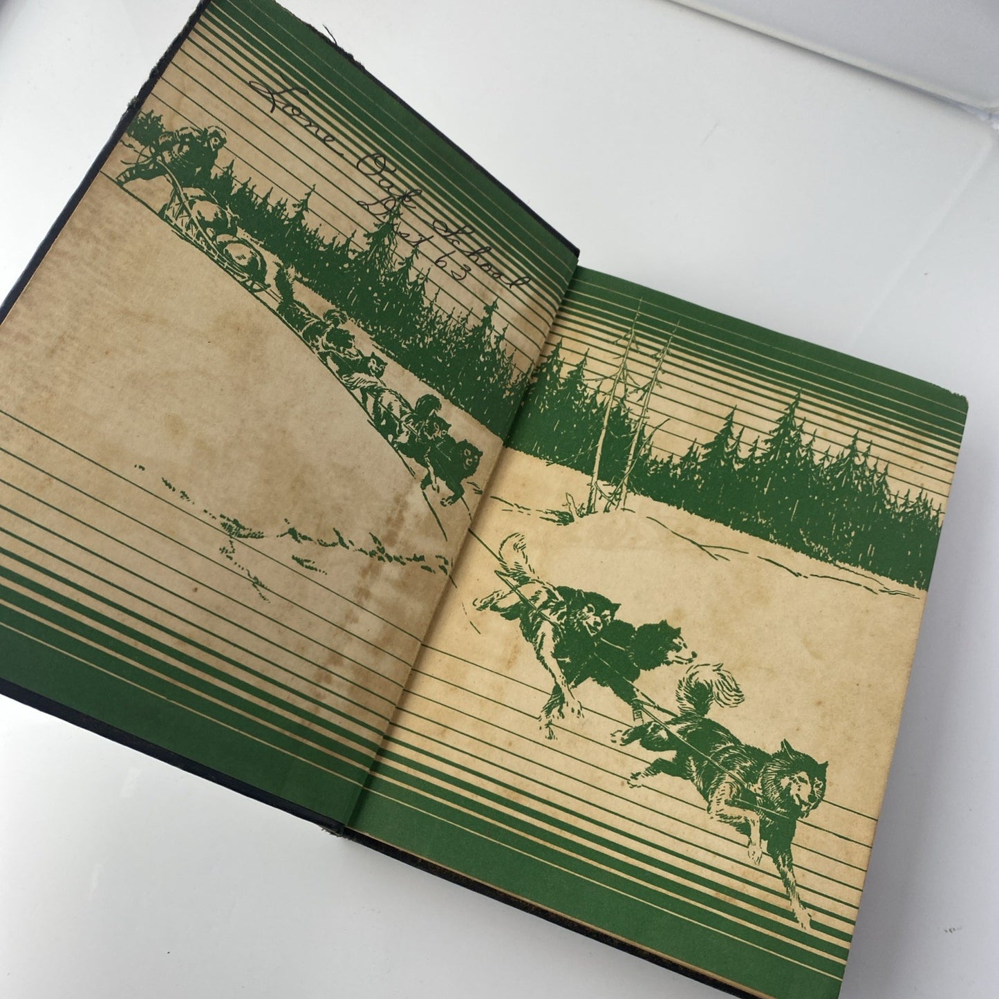 Elson-Gray Basic Readers Book Five by William Elson Schoolbook Skiing Hardcover