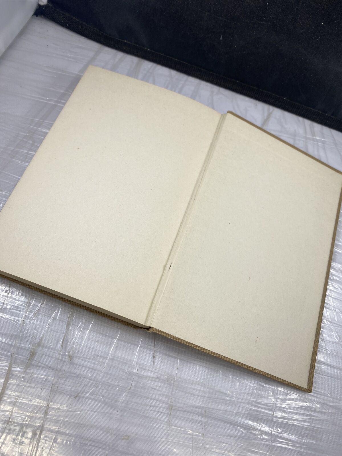 The Rejected Apostle 1924 Christian Bible Short Stories Rare Antique Vincentian