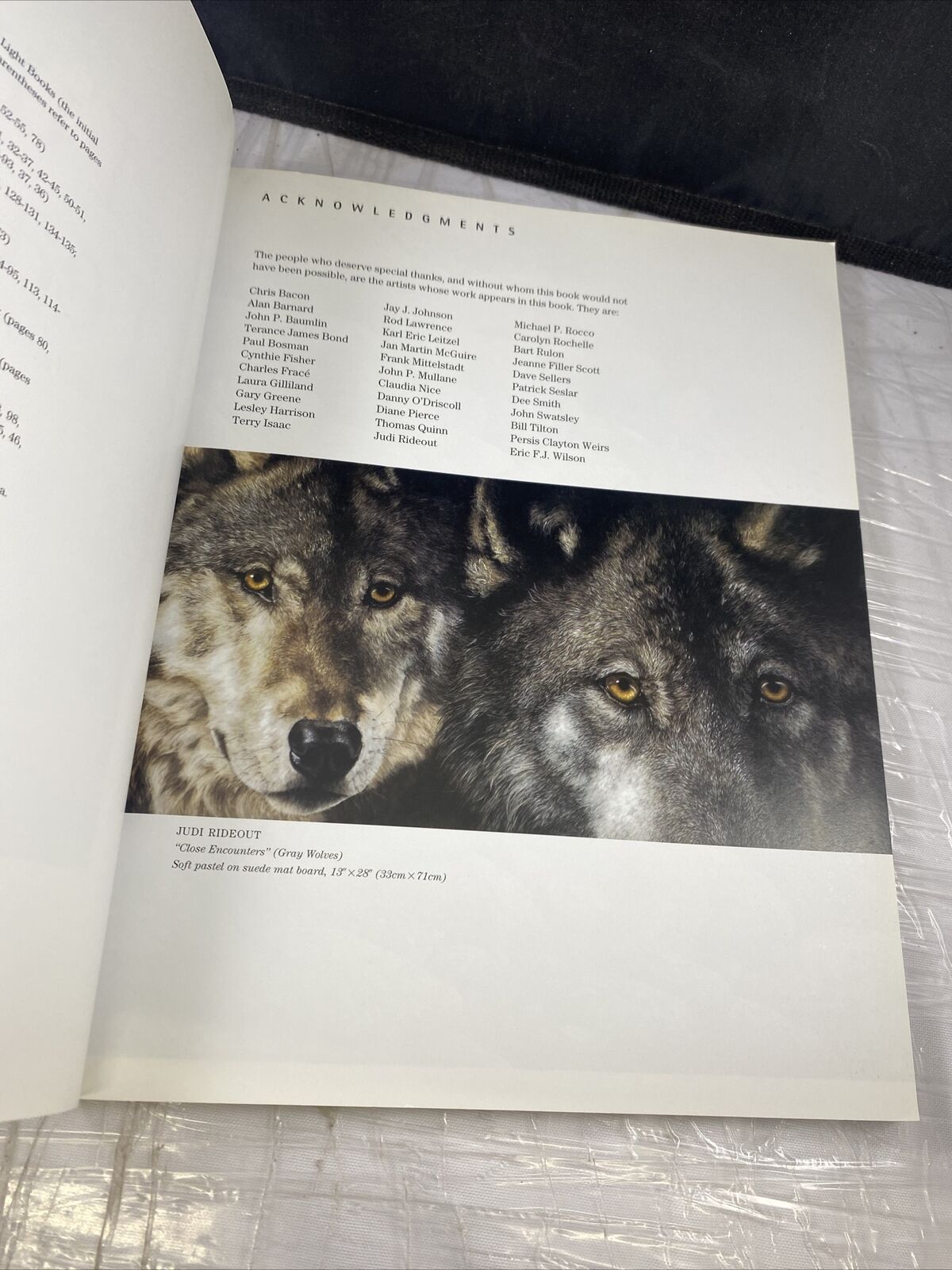Keys to Painting - Fur & Feathers Vintage Art Book Guide Rachel Rubin Wolf