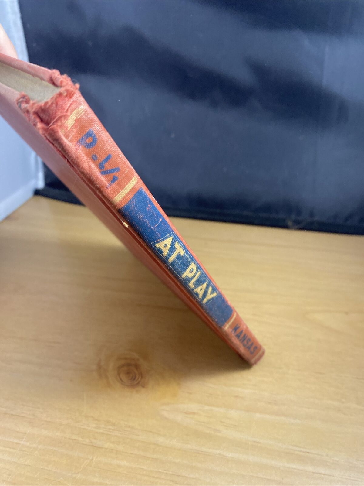 At Play Mac & Muff Easy Growth in Reading Vintage 40s Illustrated Kids Book