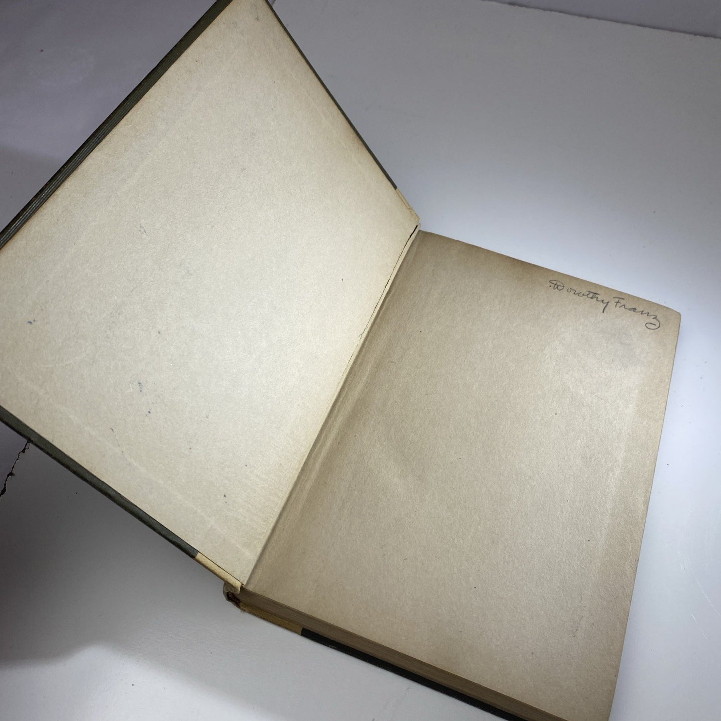 Rare Poetry Book W/ Photos THE GREAT RIVER: FREDERICK OAKES SYLVESTER- 1st Print