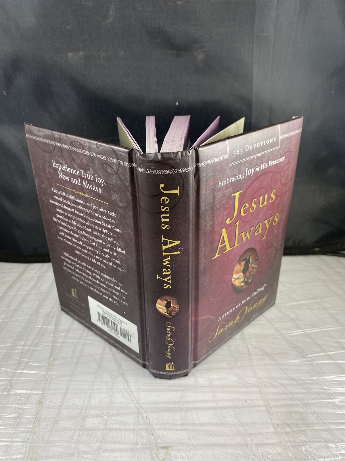 Jesus Always : Embracing Joy in His Presence by Sarah Young Padded Cover