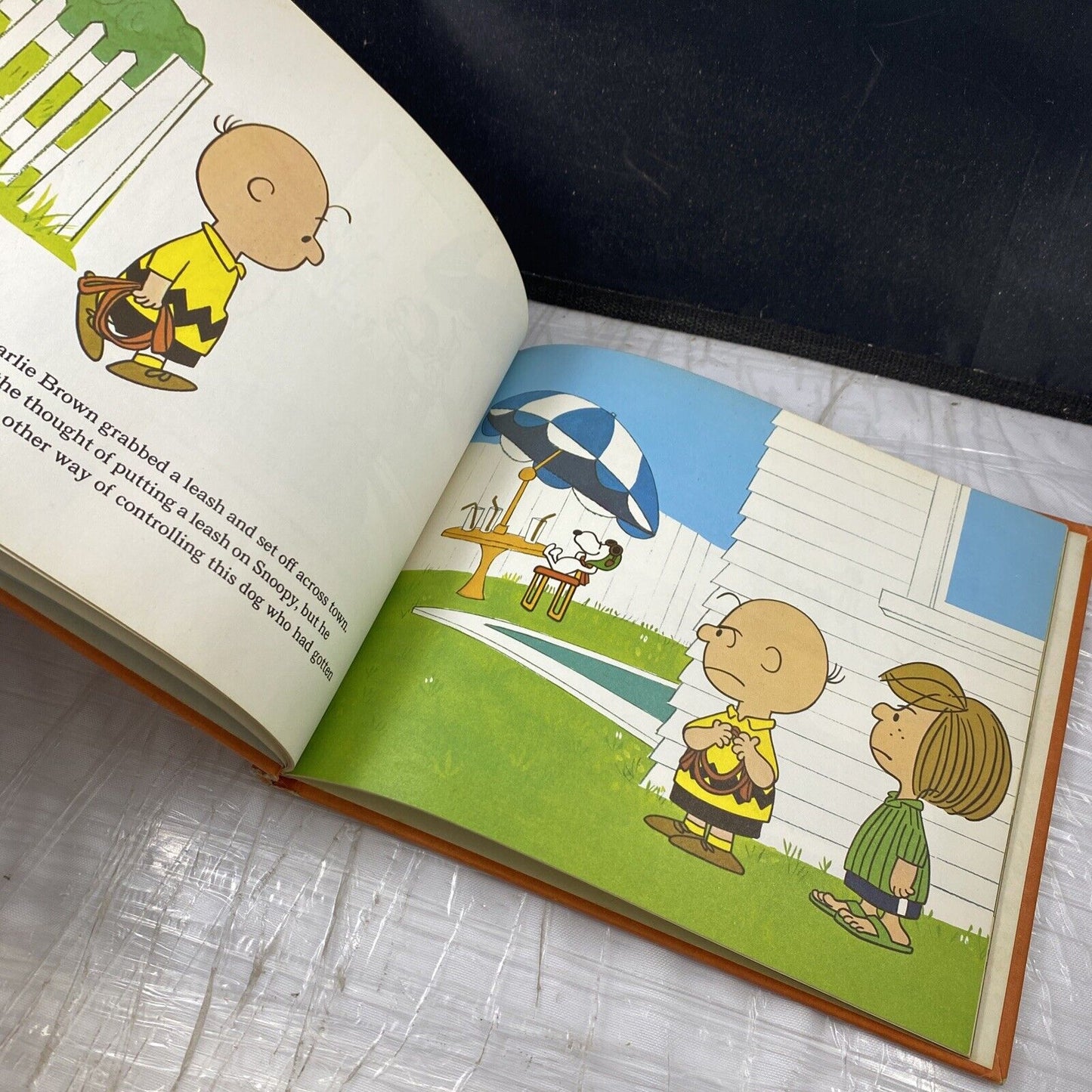1967 First Edition He's Your Dog, Charlie Brown! Snoopy Charles M Schulz Vintage