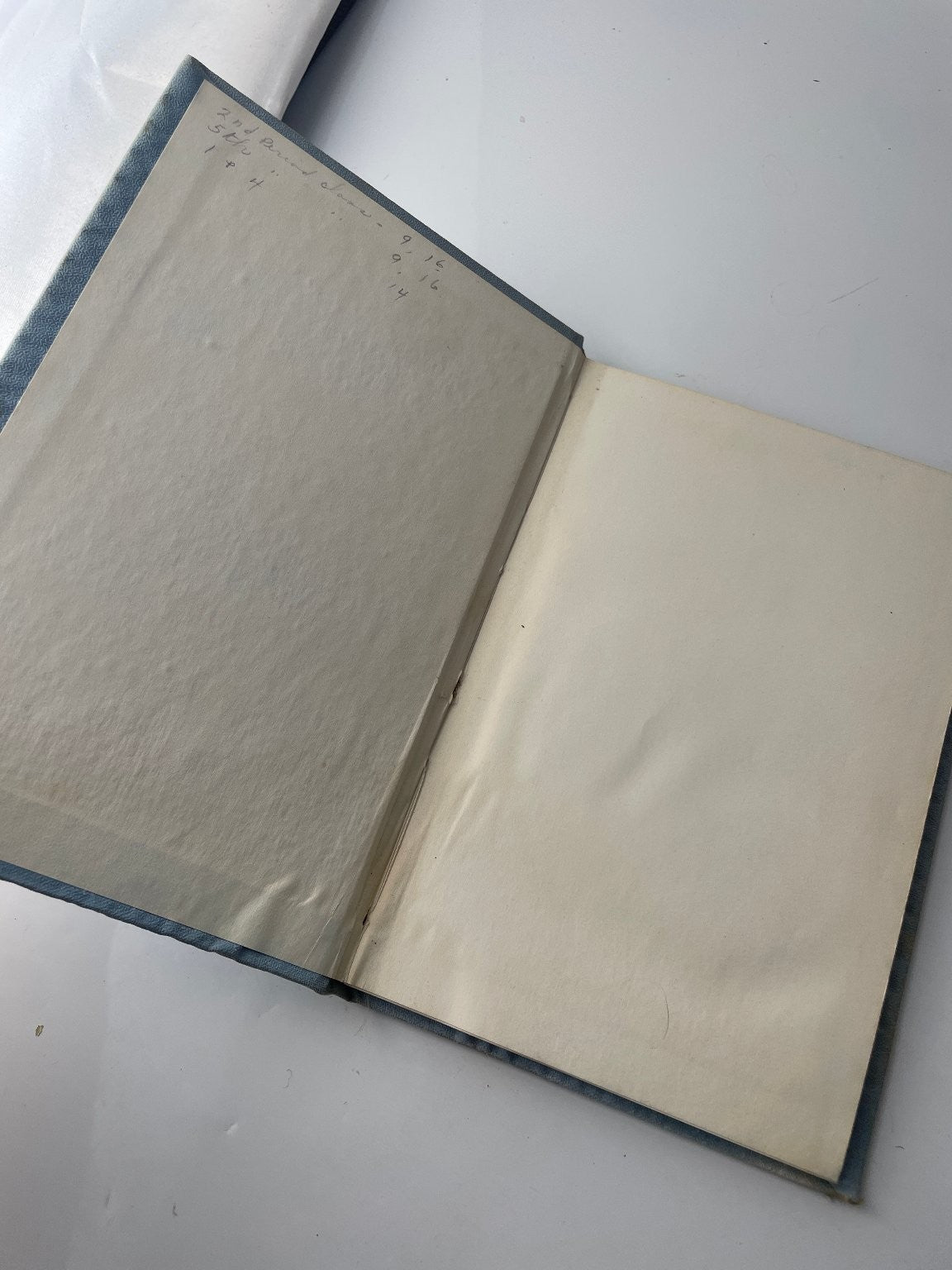 Bright Horizons Helen Lowrie Marshall 1954 First Edition Signed Helvern Press