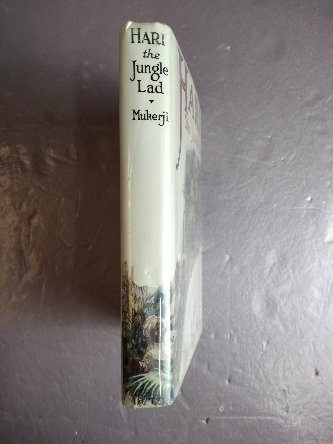 Hari The Jungle Lad Dhan Gopal Mukerji 1924 Children's Adventure Illustrated