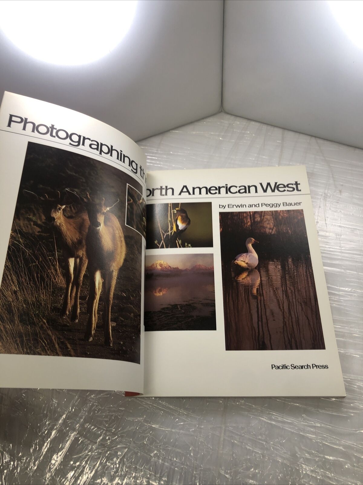 Photographing the North American West by Erwin and Peggy Bauer How To Rare Book