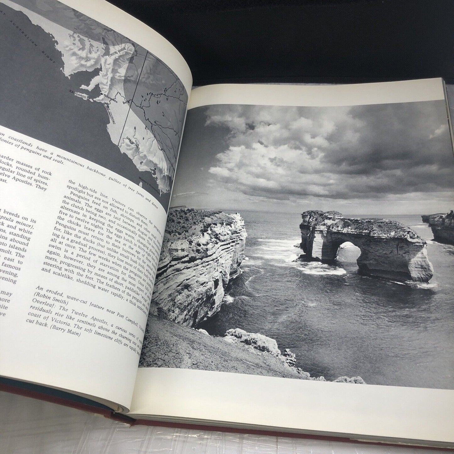 Australia and the Pacific Islands: A natural history (Continents we live On) HC