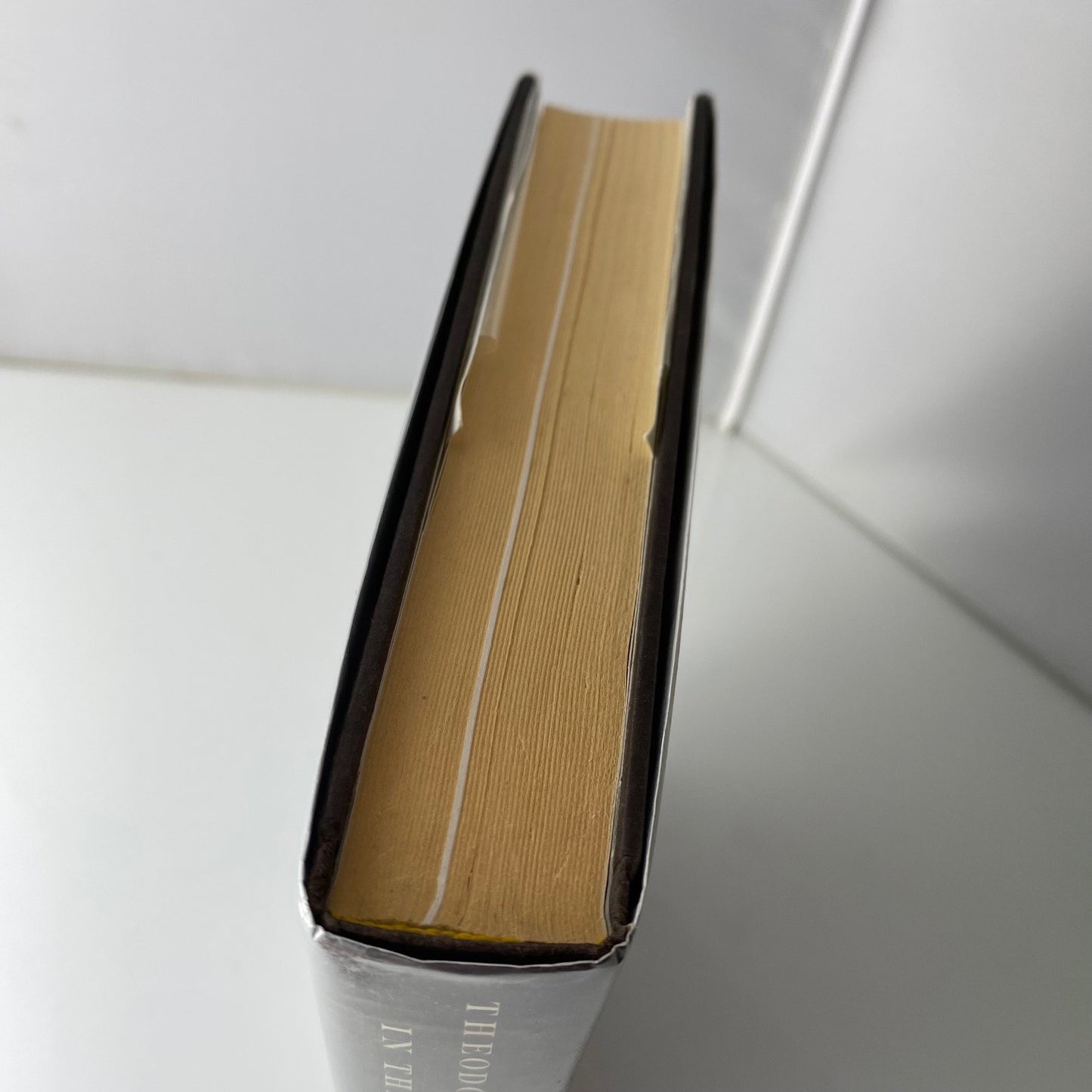 Theodore Roosevelt in the Badlands Roger L. Di Silvestro 2011 First Edition