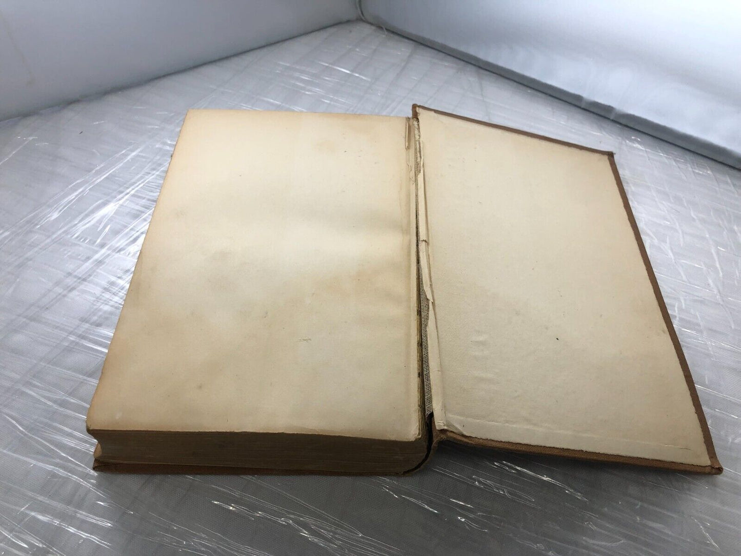 Antique Book Self Helps for Ambitious Boys William Drysdale 1899 1st edition