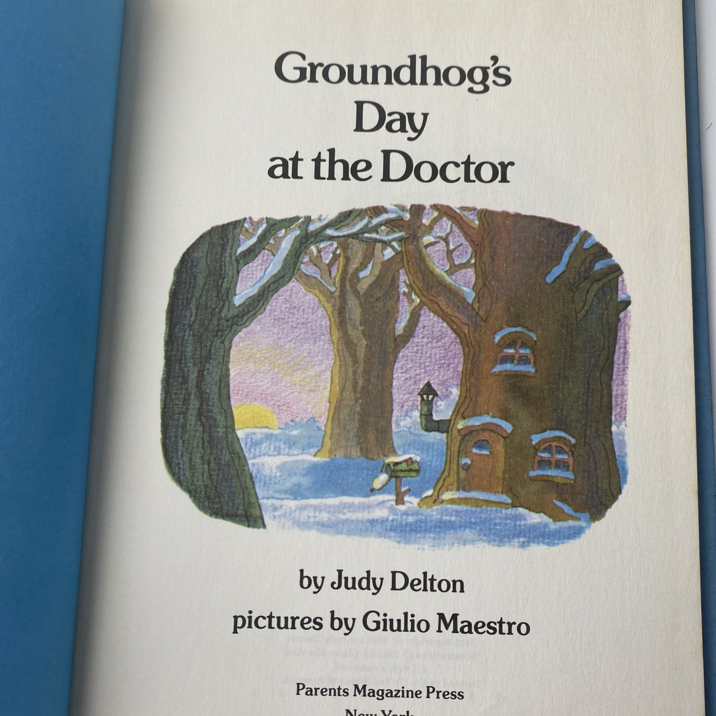 Vintage Kids Picture Book 1st Print Groundhog’s Day At The Doctor By Judy Delton