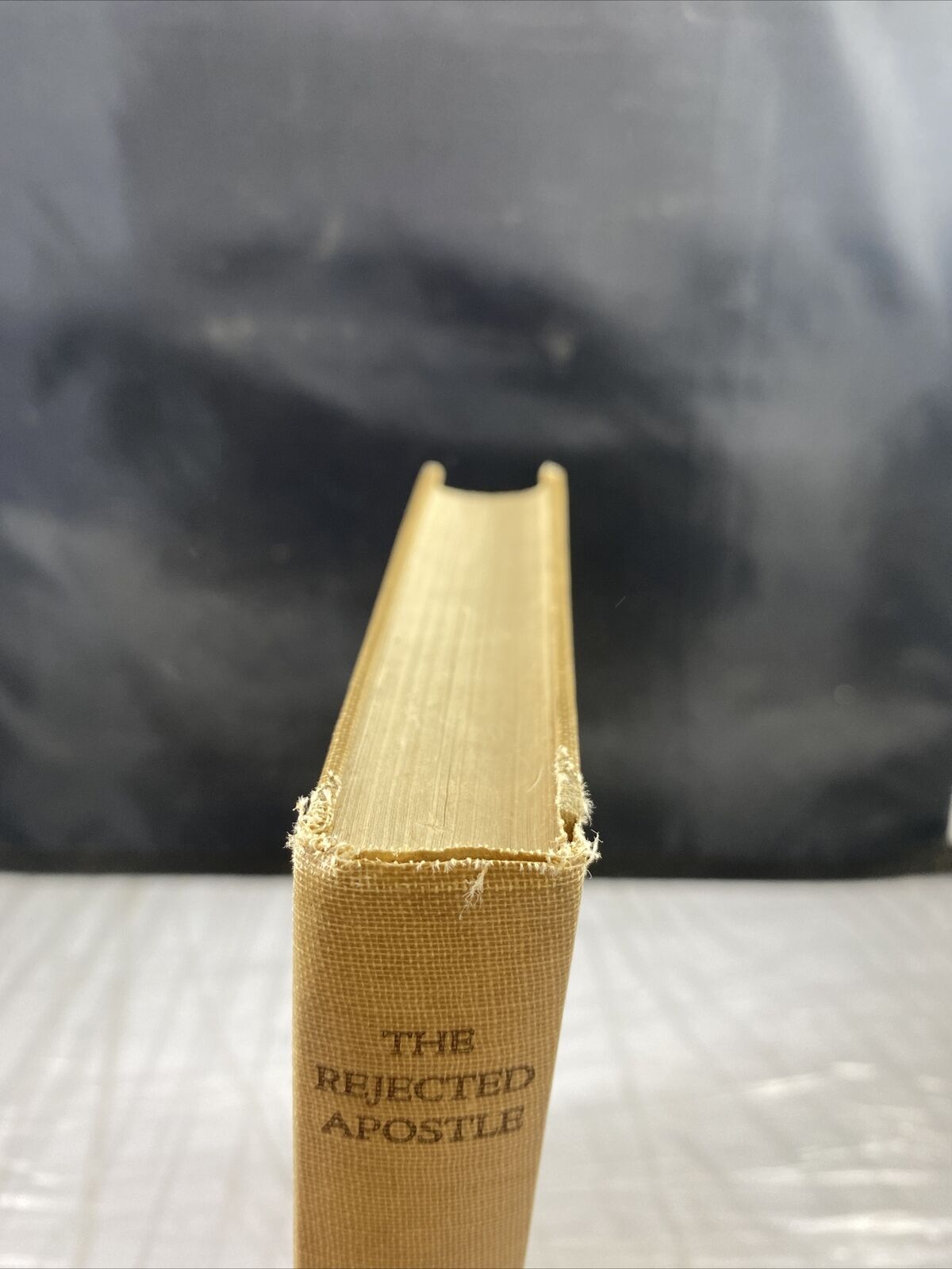 The Rejected Apostle 1924 Christian Bible Short Stories Rare Antique Vincentian