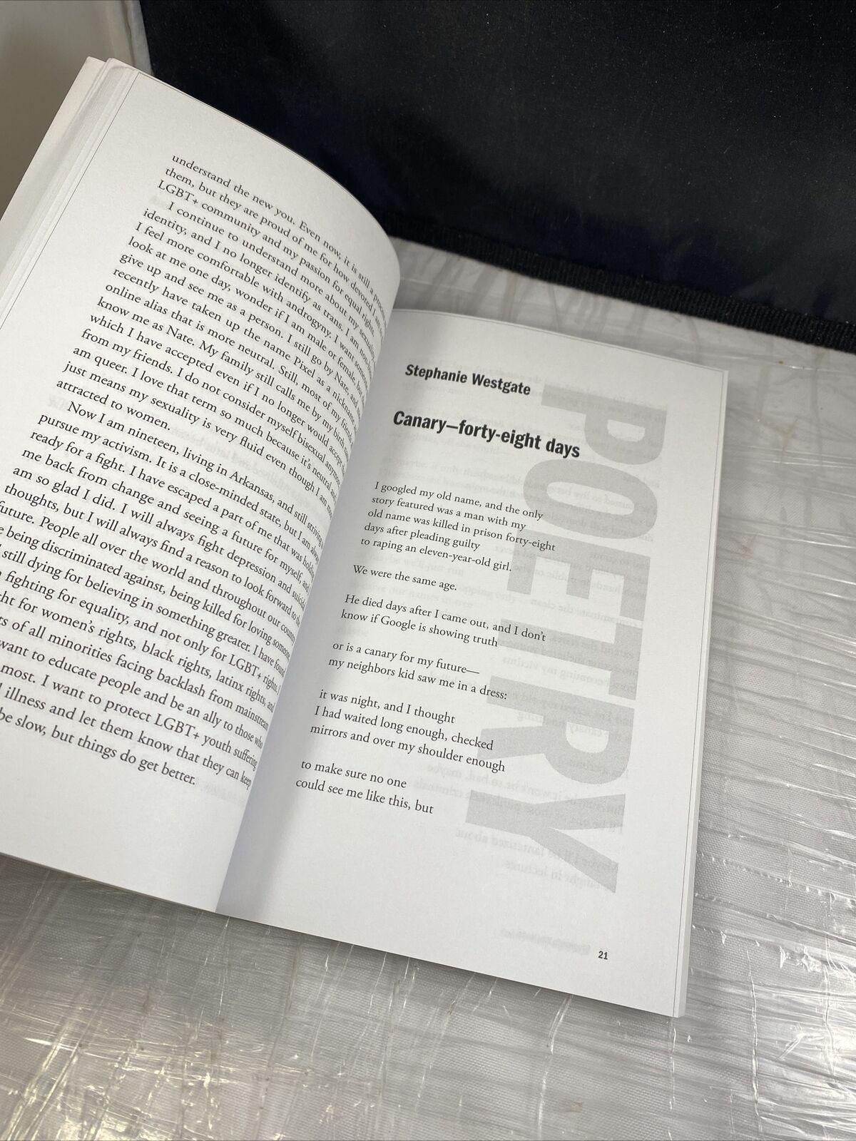 The Whole Alphabet : The Light and the Dark Paperback Rare LGBTQIA Gay Authors