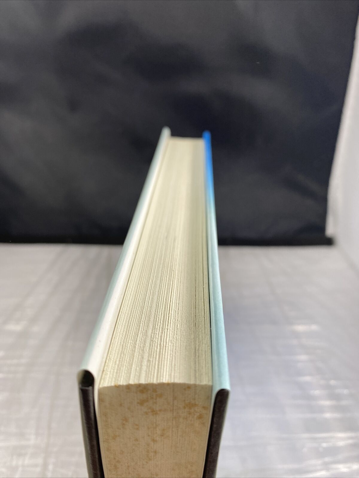 The Lovely Bones by Alice Sebold 2002 Best Seller First Edition First Print