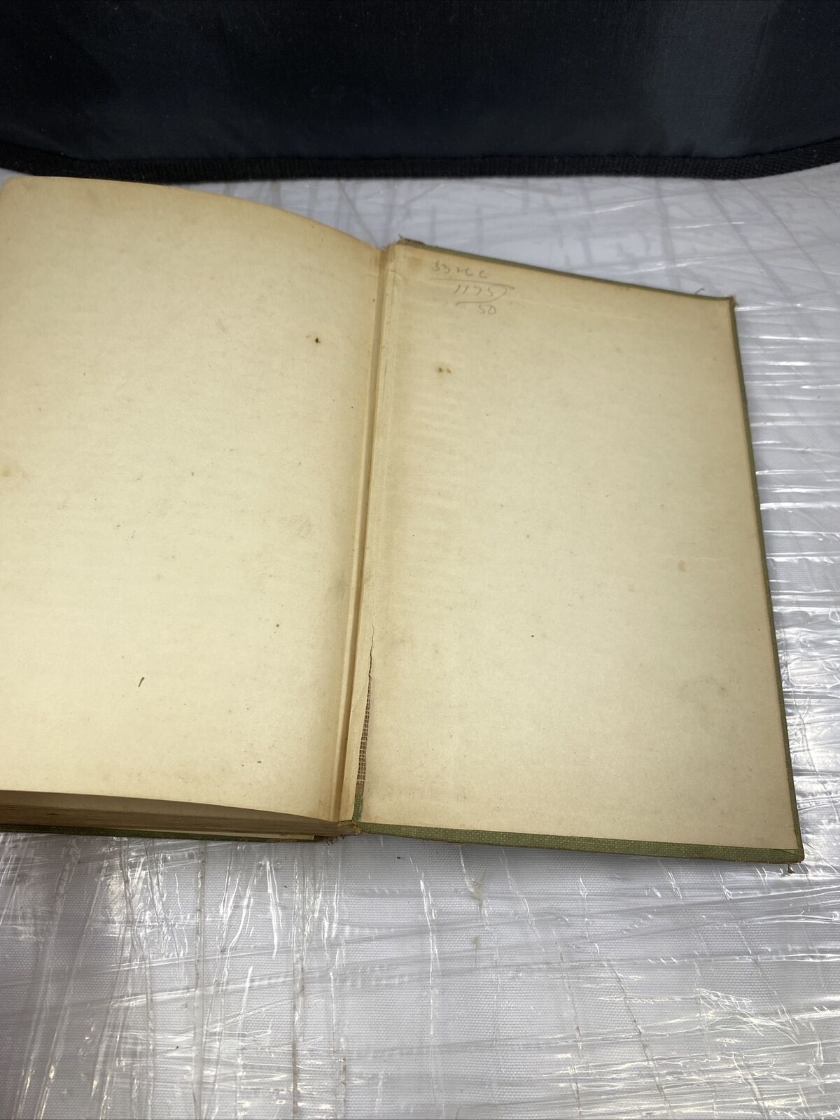 Children's Book The Bobbsey Twins By Laura Lee Hope 1904 Good Condition