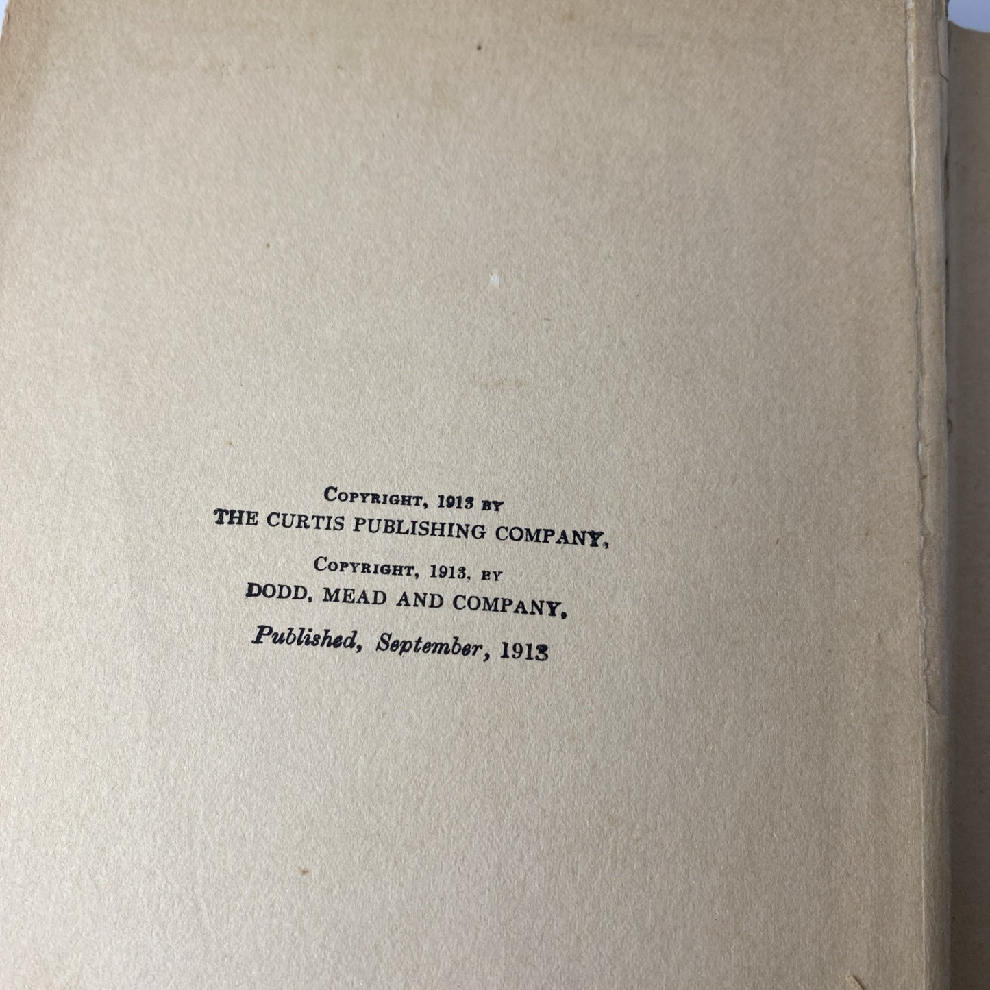 The Taste of Apples (Hardcover) 1913 by Jennette Lee See Pics Antique Novel