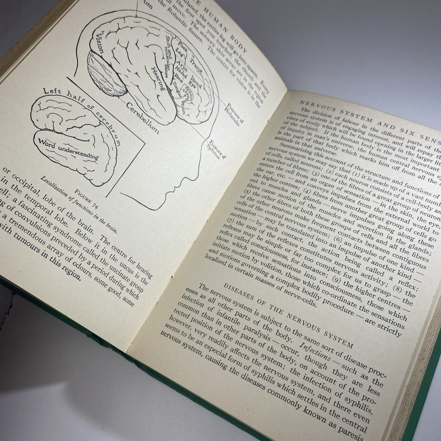 Antique Biology Textbook 1930 - The Human Body - Logan Clendening, M.D. Green