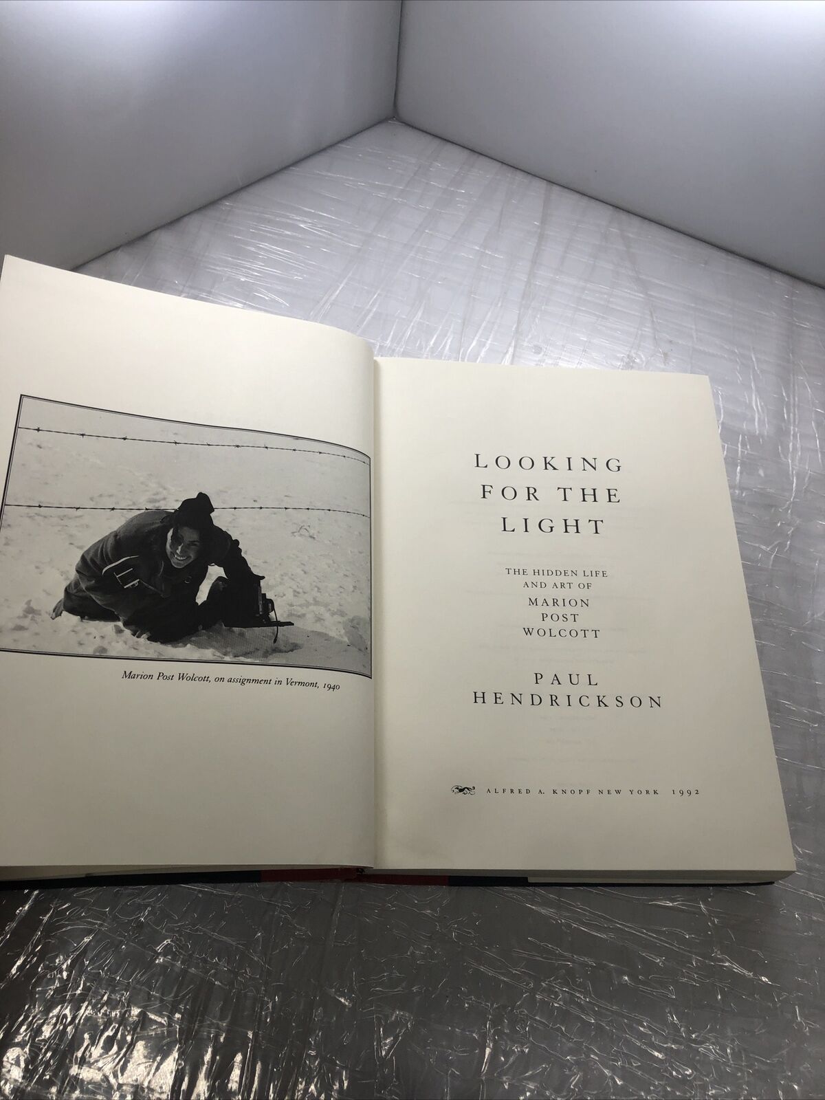 LOOKING FOR THE LIGHT: THE HIDDEN LIFE AND ART OF MARION By Paul Hendrickson VTG