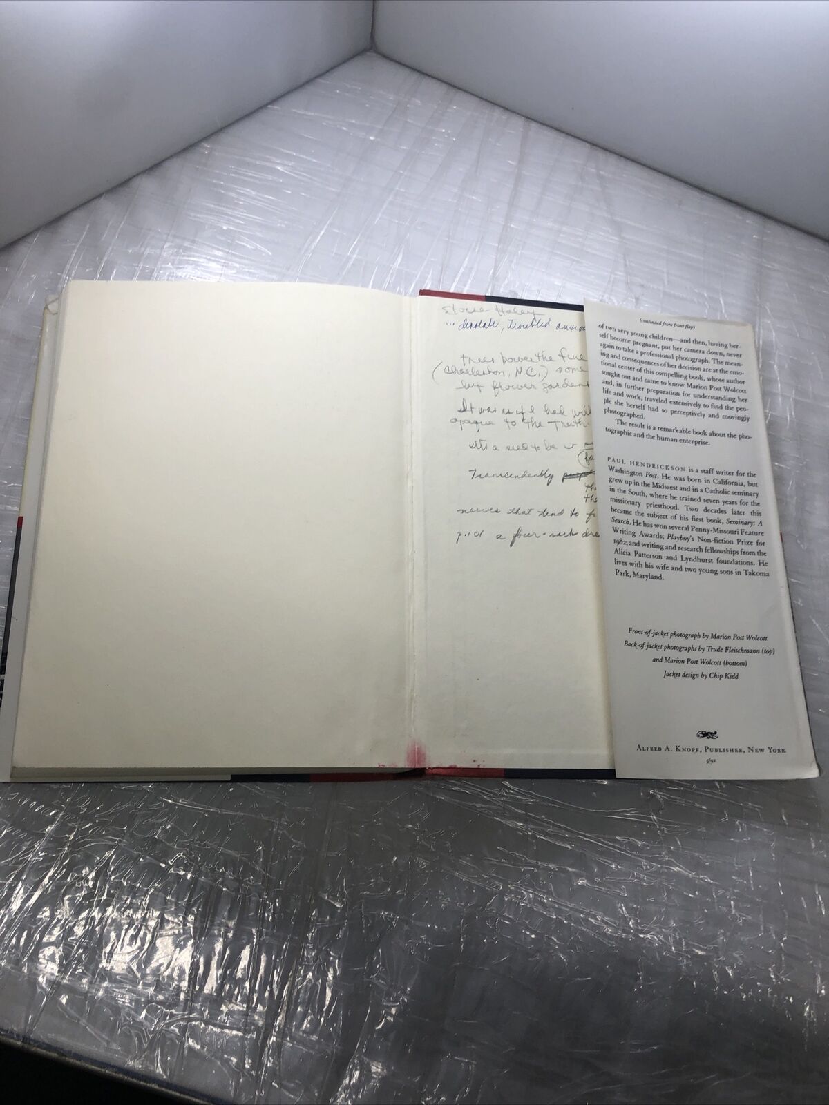 LOOKING FOR THE LIGHT: THE HIDDEN LIFE AND ART OF MARION By Paul Hendrickson VTG