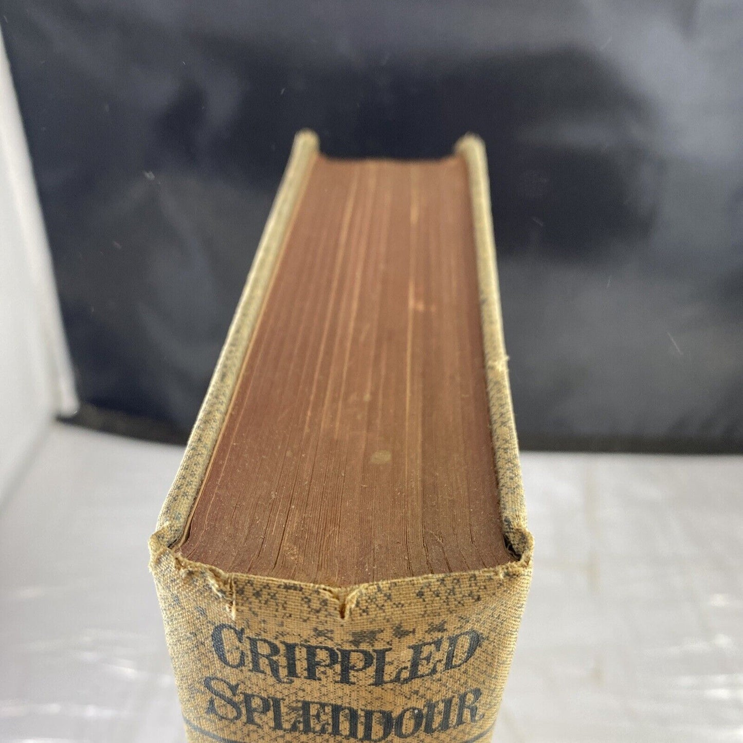 Crippled Splendour Evan John 1938 Historical Fiction Vintage Hardcover Rare