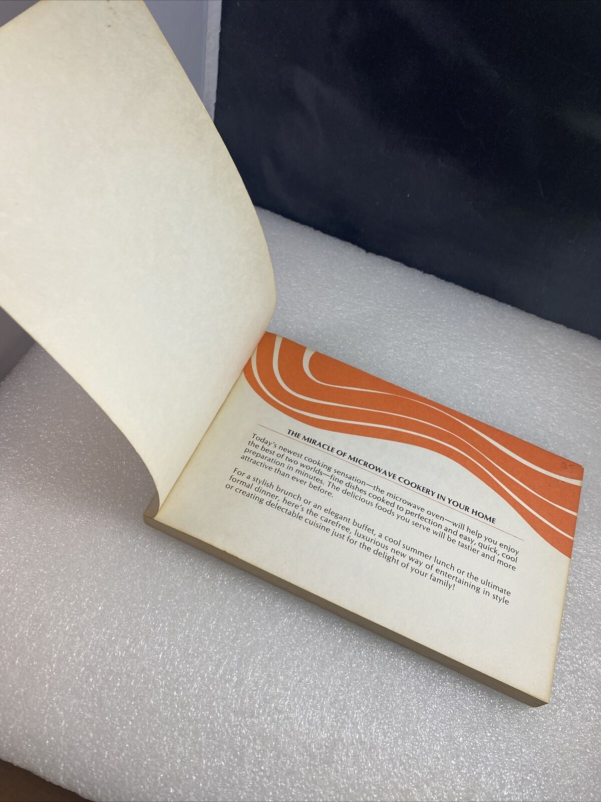 Rare Vintage 70s Microwave Cookbook Paperback Irena Charmers Rainbow First Print