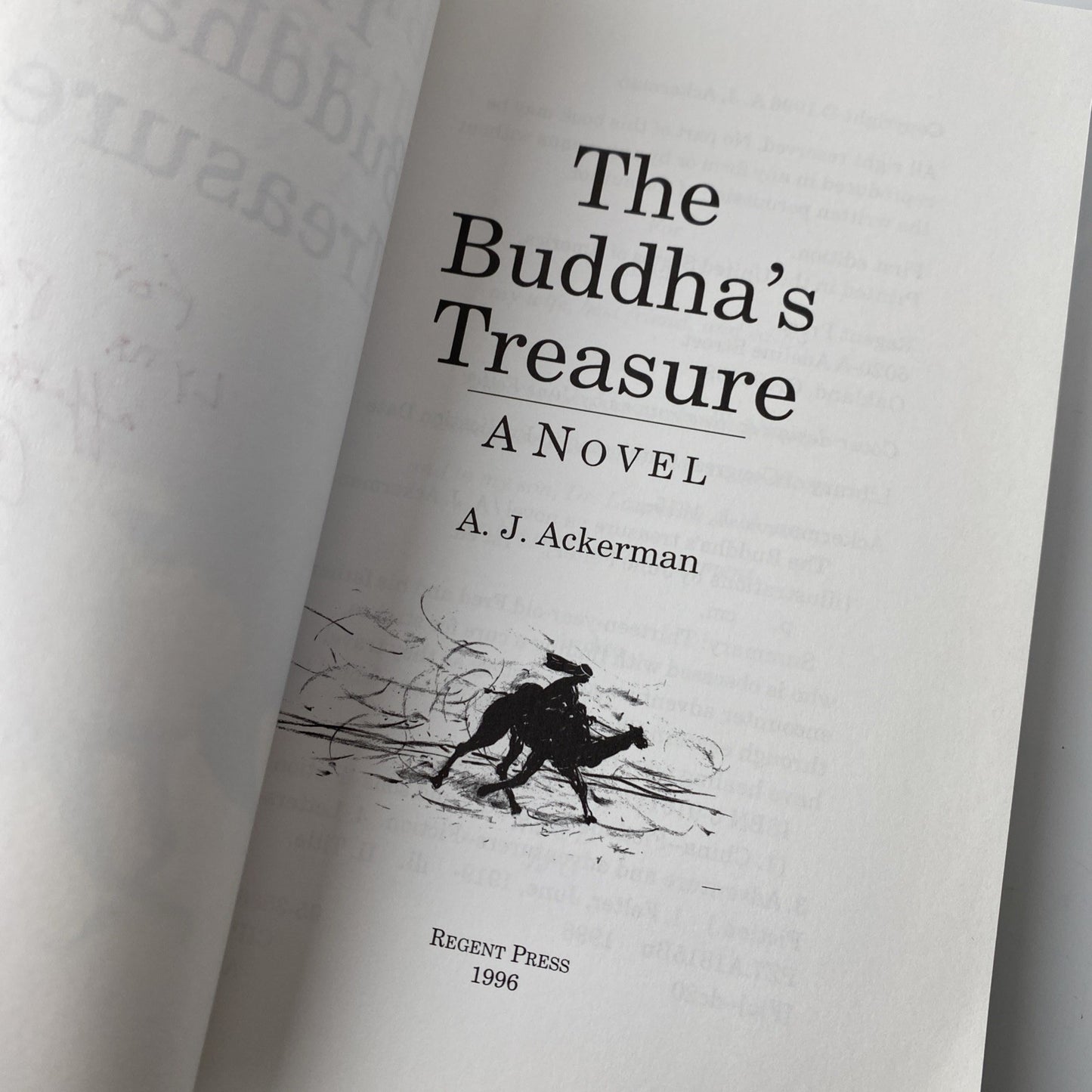 Signed The Buddha's Treasure: A Novel Rare Paperback Buddhist Journey