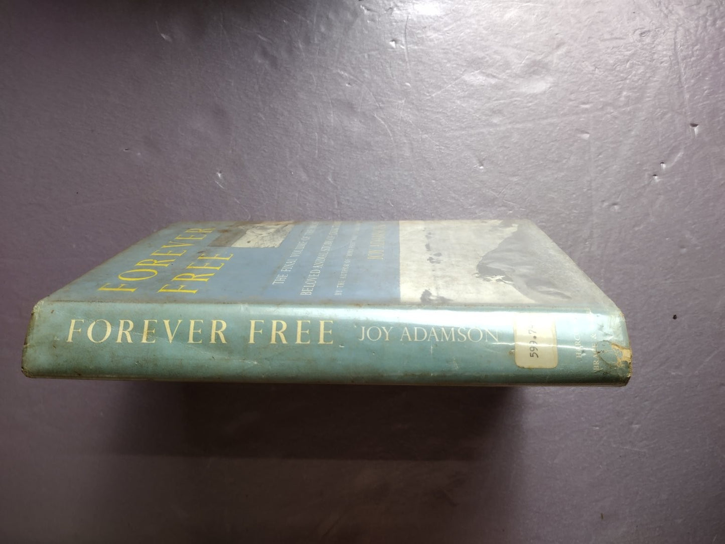 Forever Free Joy Adamson Harcourt Brace World Animal Story Nature Book