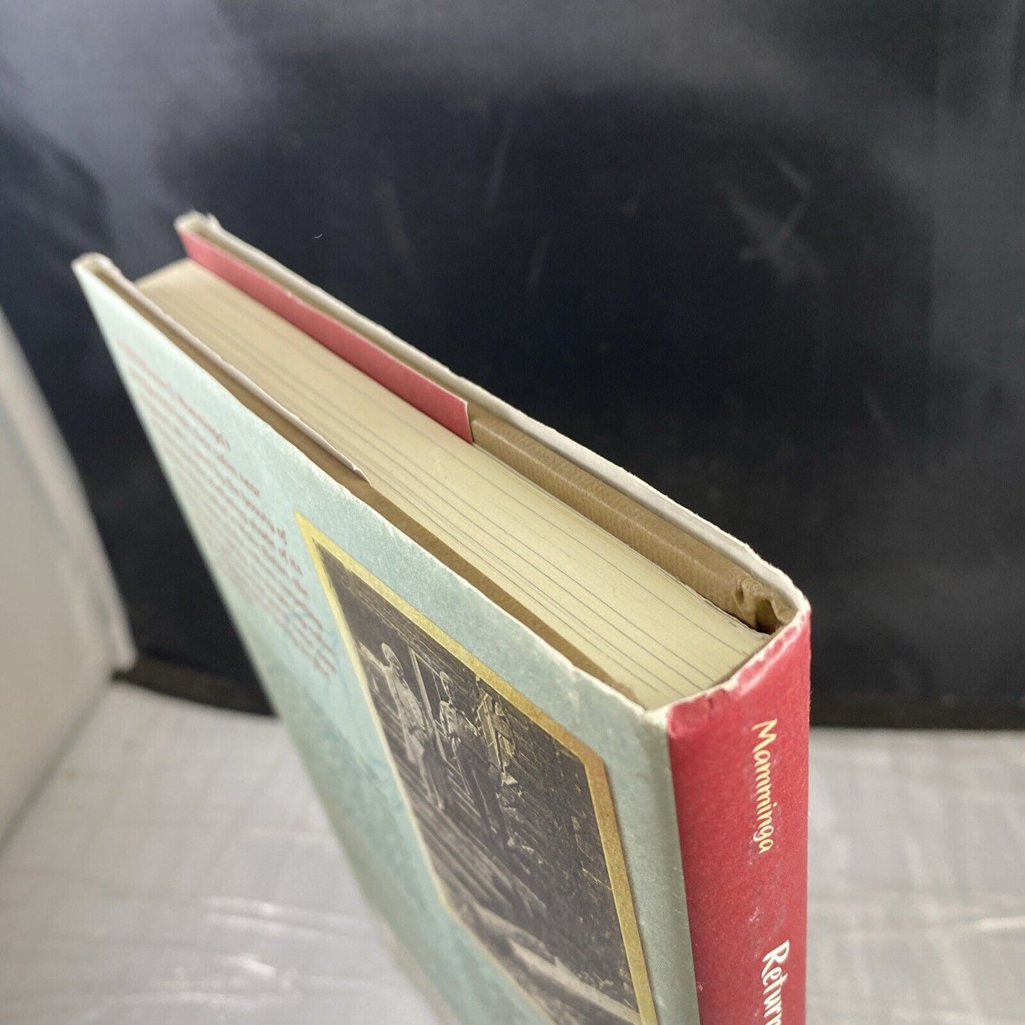 RETURN TO WAKE ROBIN: ONE CABIN IN THE HEYDAY OF By Marnie O. Mamminga VG