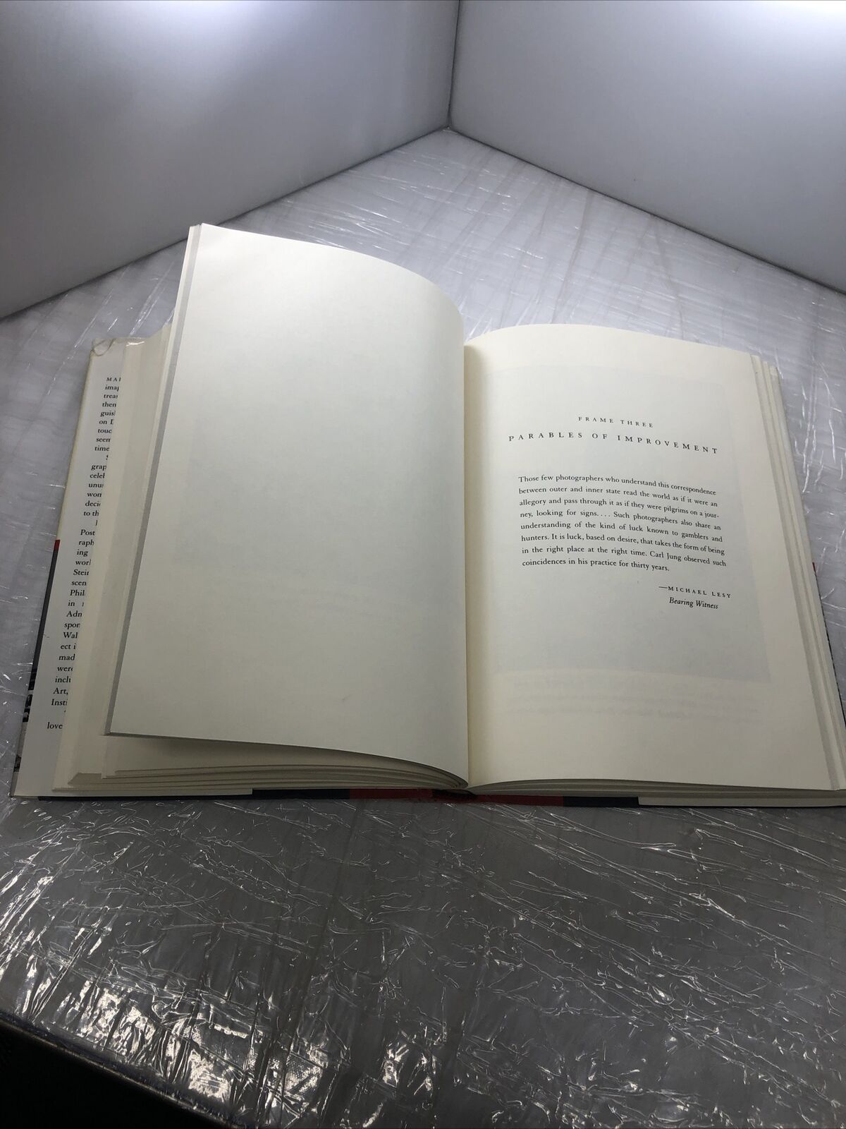 LOOKING FOR THE LIGHT: THE HIDDEN LIFE AND ART OF MARION By Paul Hendrickson VTG