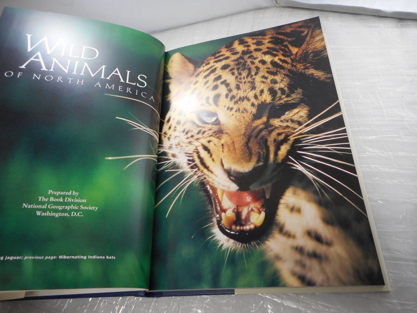(With Bookplate) National Geographic Wild Animals of North America Hardback 1998