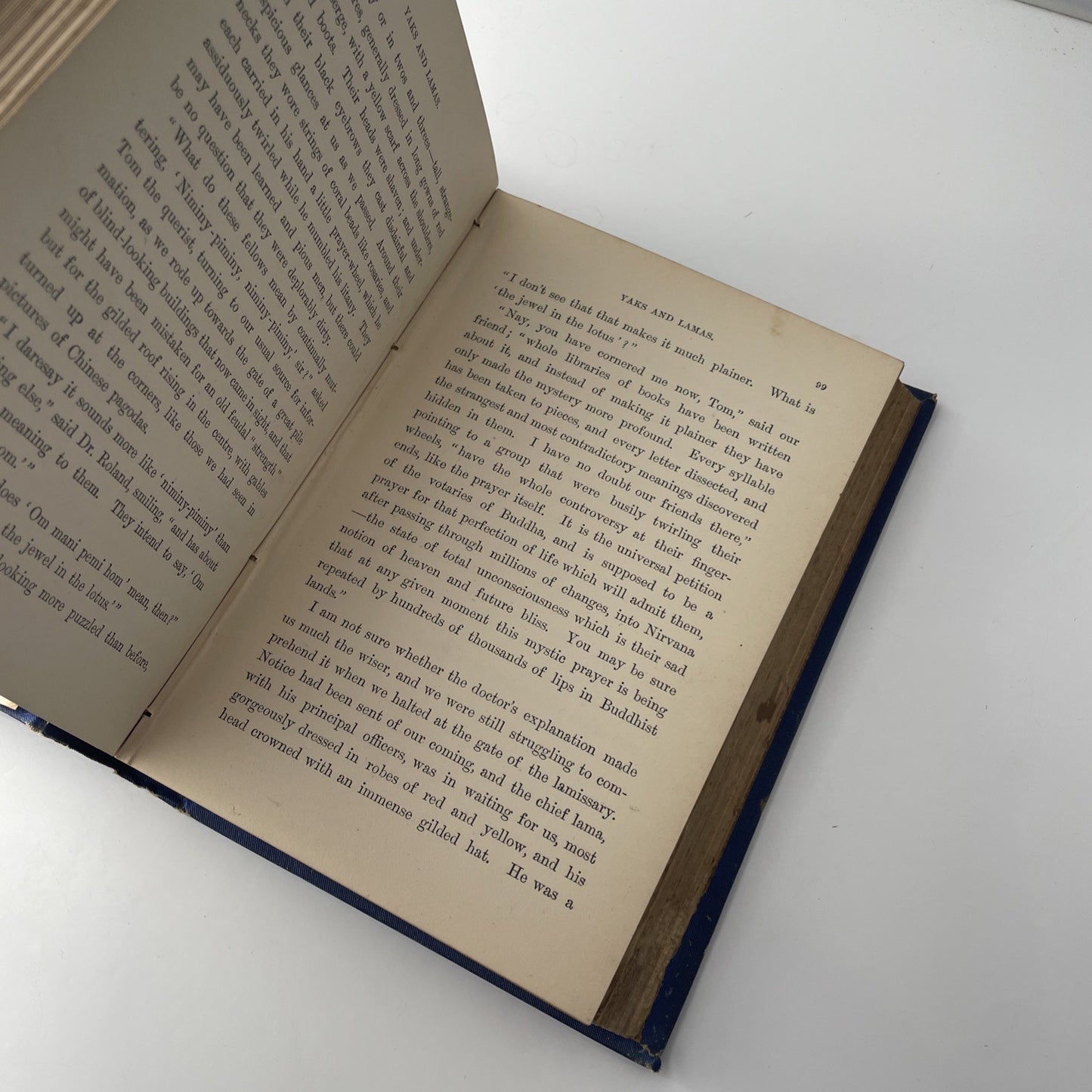 Antique Novel 1884 Beyond the Himalayas: Travel Adventure in the Wilds of Thibet