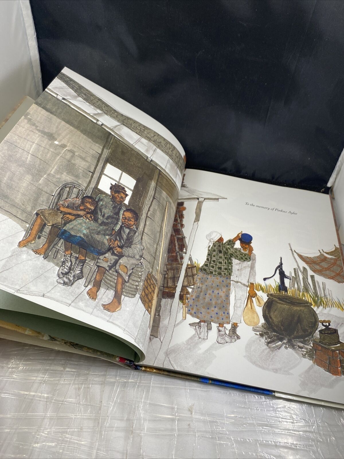 Pink and Say Hardcover By Patricia Polacco Beautiful Illustrations