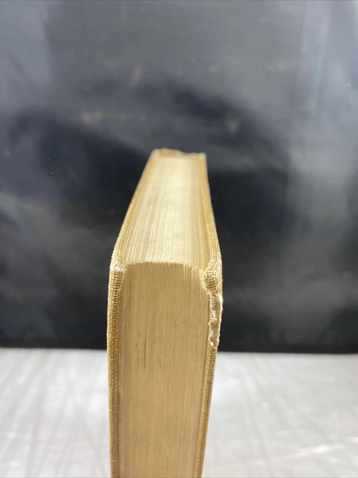 The Rejected Apostle 1924 Christian Bible Short Stories Rare Antique Vincentian
