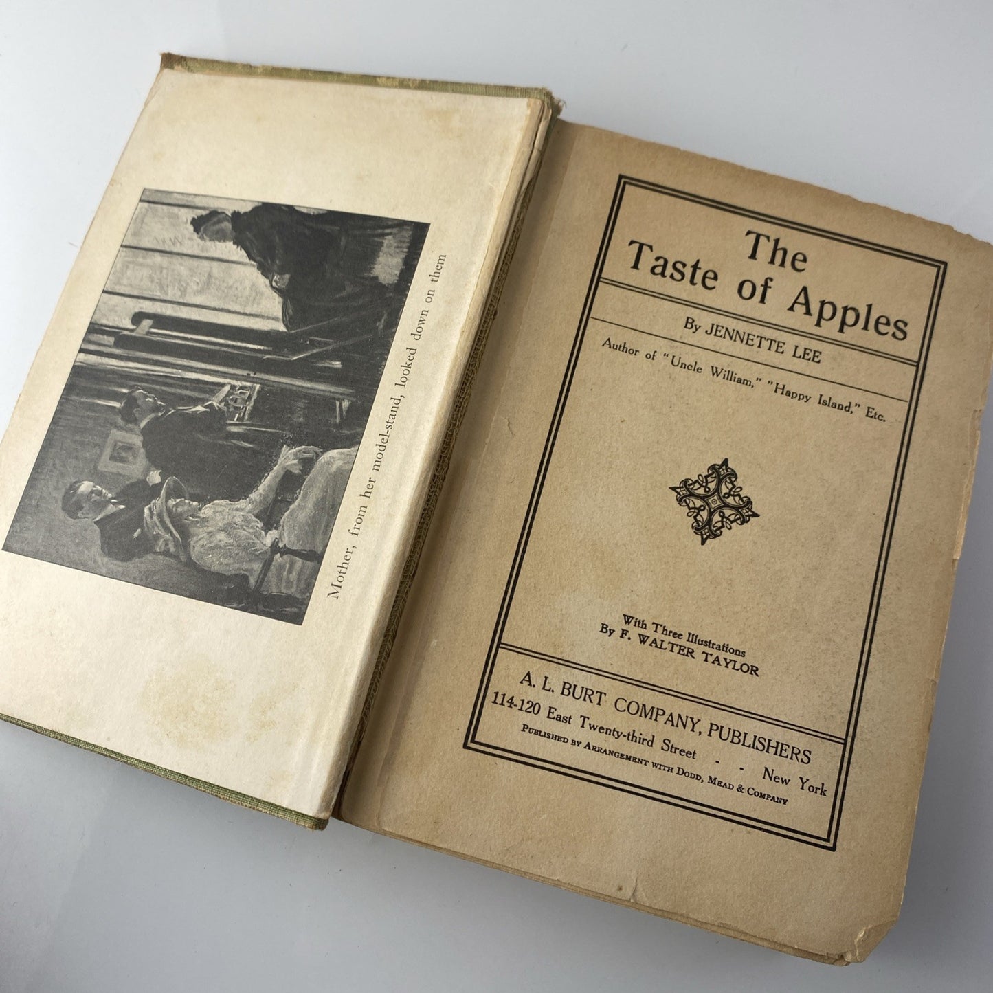 The Taste of Apples (Hardcover) 1913 by Jennette Lee See Pics Antique Novel