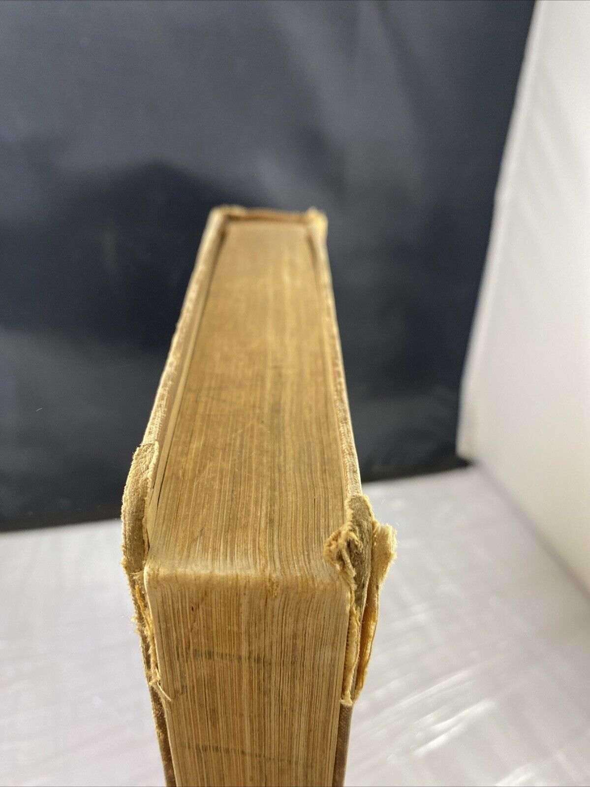 Geography Tarr and McMurry Second Book State of Kansas 1922 ANTIQUE Textbook
