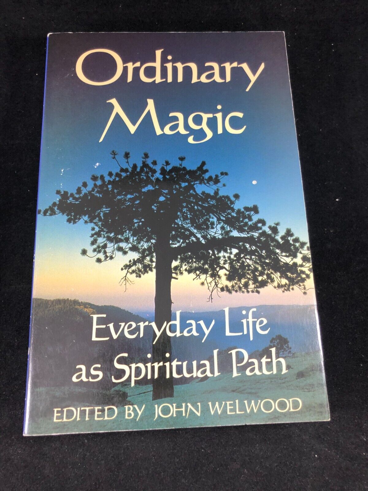 Ordinary Magic: Everyday Life as a Spiri... by John Welwood Paperback / softback