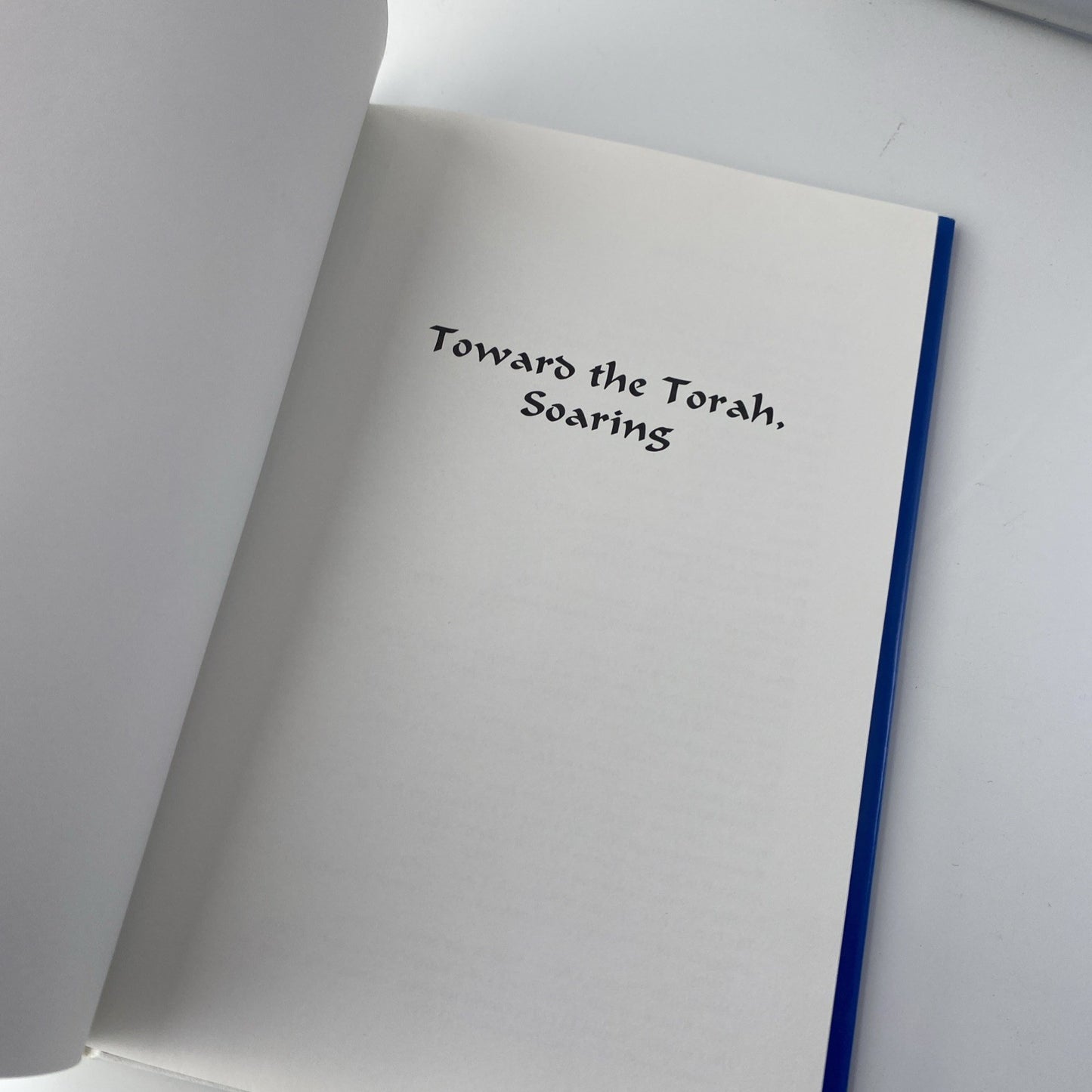 Rare Signed Jewish Poetry Book Toward The Torah, Soaring Louis Brodsky Hardcover