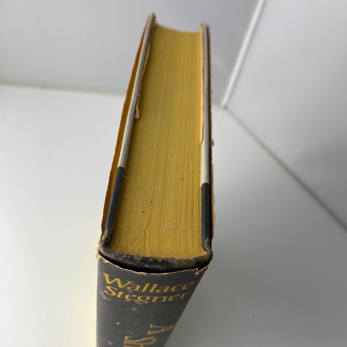 A Shooting Star Wallace Stegner 1961 First Edition Novel Viking