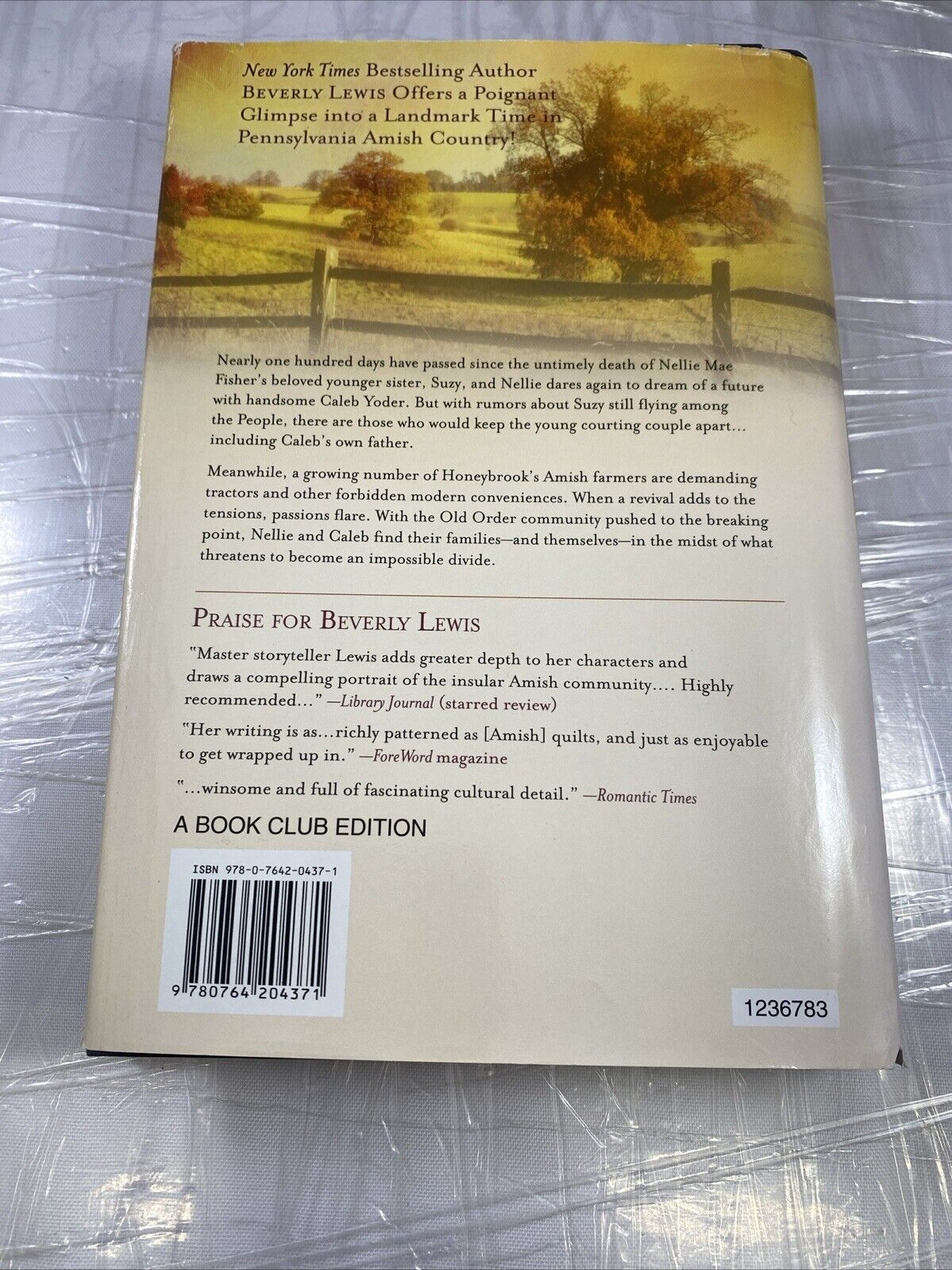 Parting, The - hardcover, Beverly Lewis, 0764204378 VERY GOOD BCE