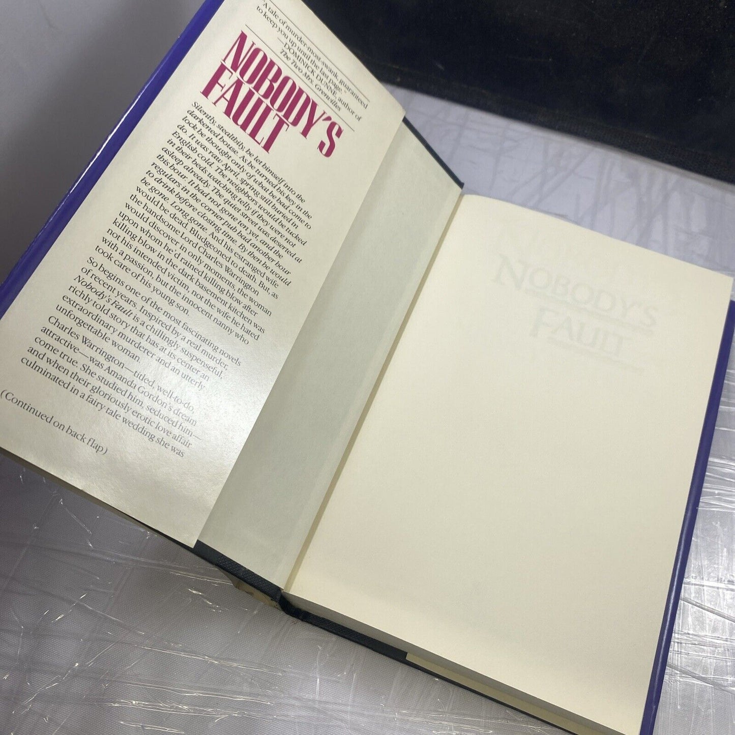 Nobodys Fault - Hardcover By Holmes, Nancy - GOOD BCE Bantam Books
