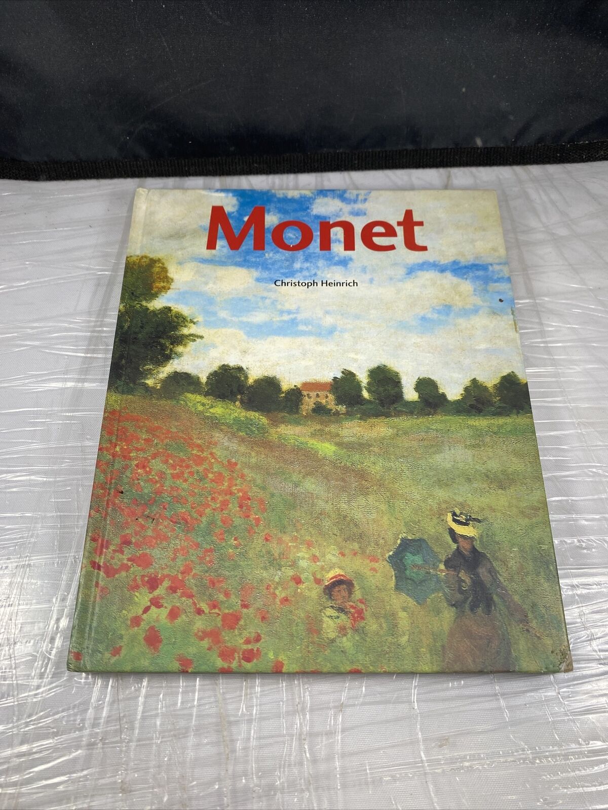 Monet By Christoph Heinrich