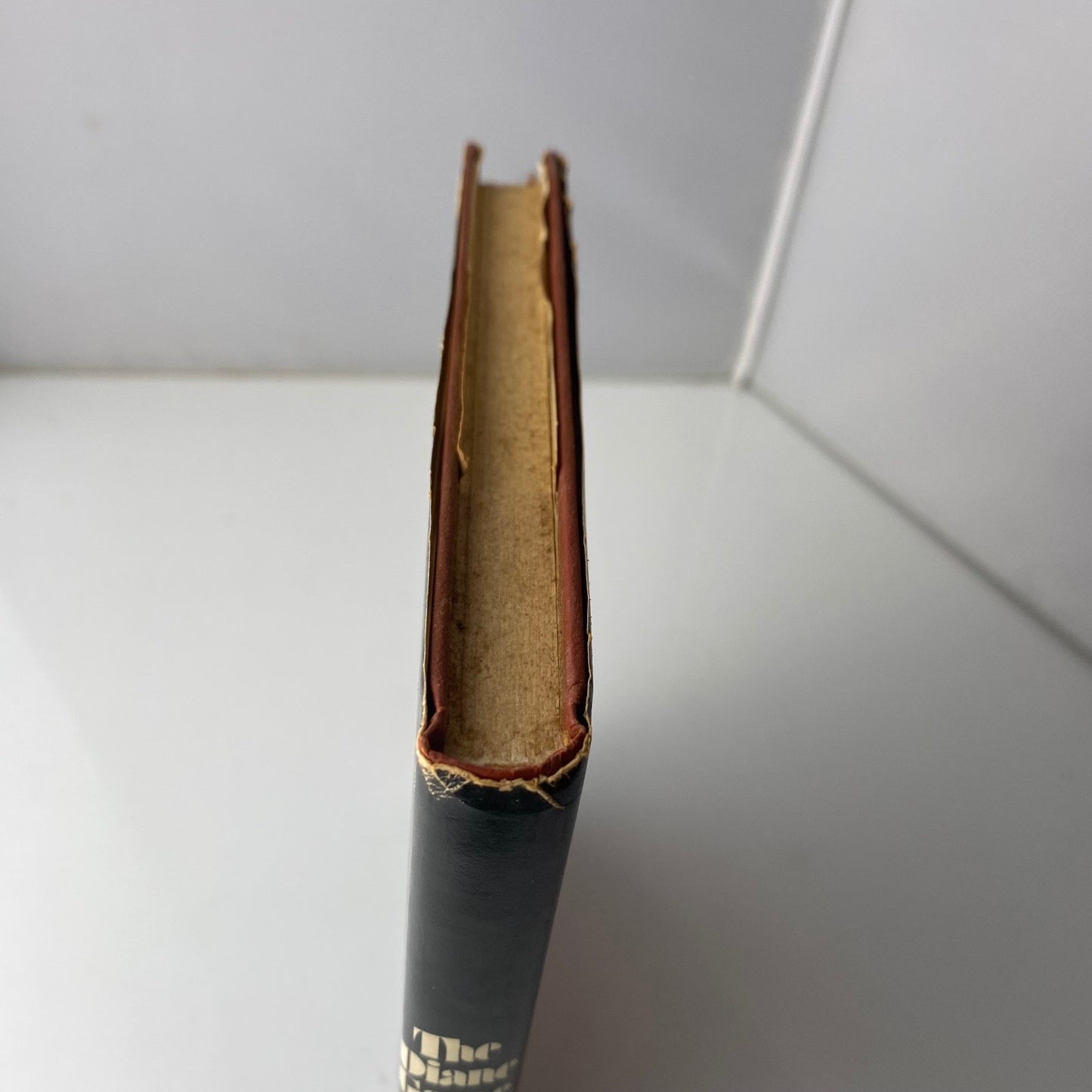 Vintage Novel The Diane Game Stanley Cohen 1973 First Edition Stein and Day