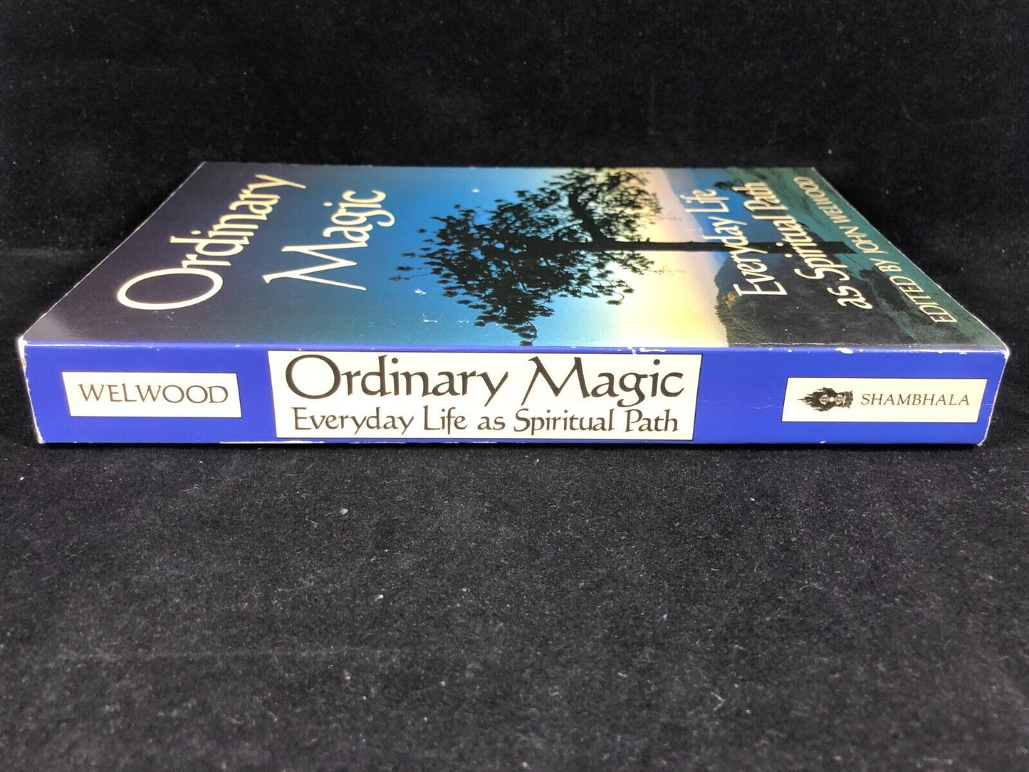 Ordinary Magic: Everyday Life as a Spiri... by John Welwood Paperback / softback