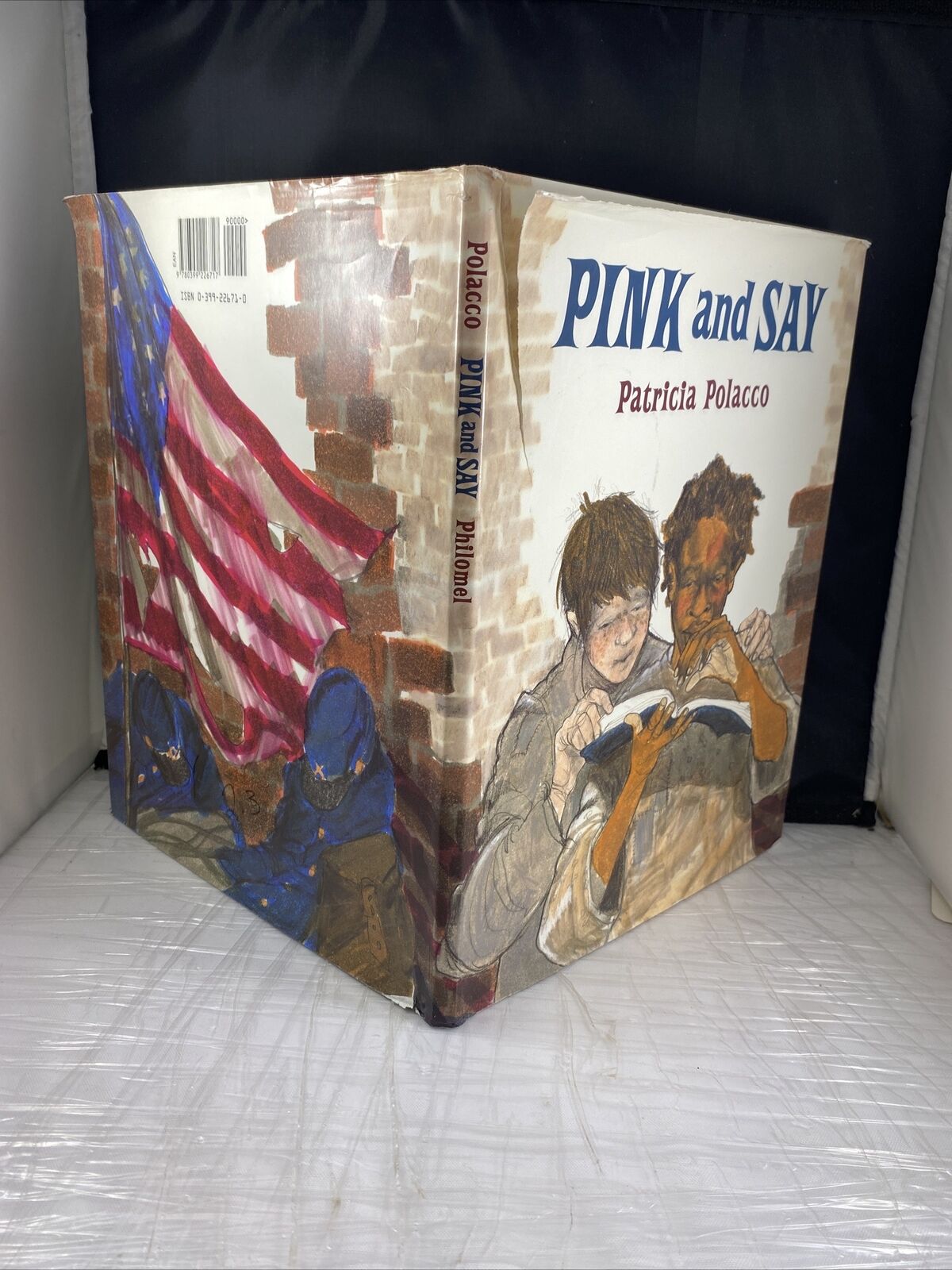 Pink and Say Hardcover By Patricia Polacco Beautiful Illustrations
