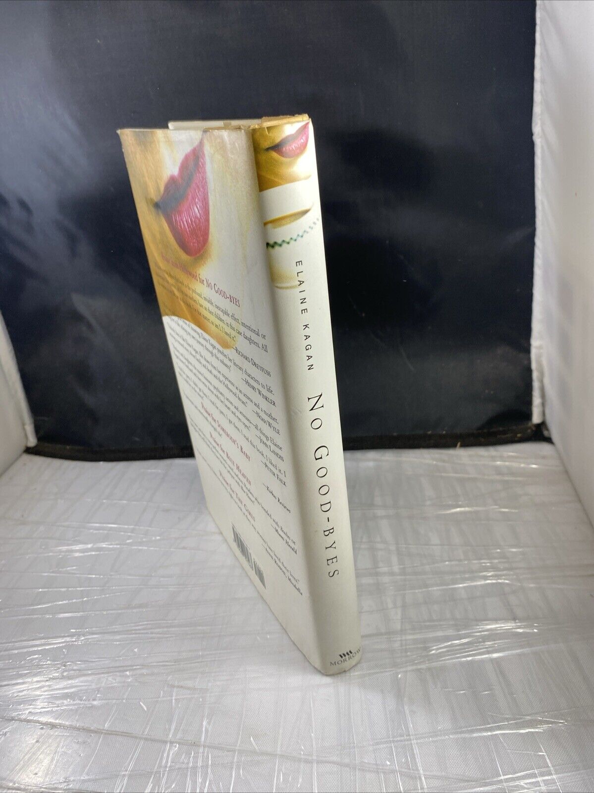 No Good-byes - Hardcover By Kagan, Elaine VERY GOOD FIRST PRINT UNMARKED